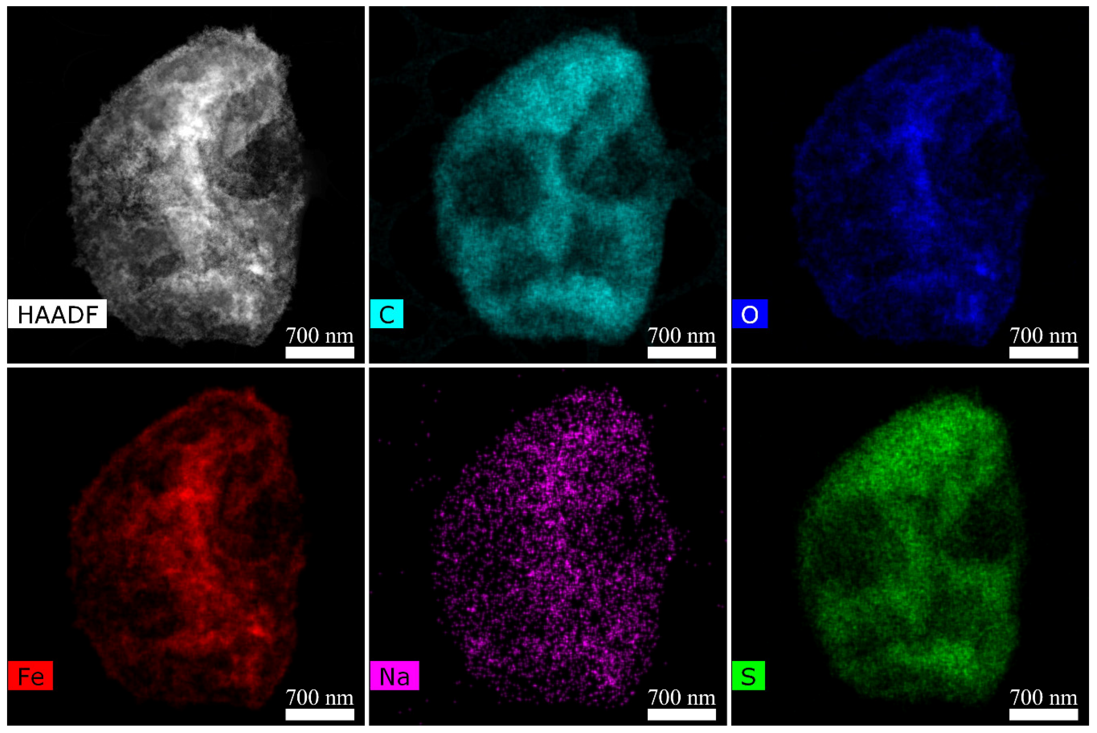 Pharmaceutics 14 00065 g005