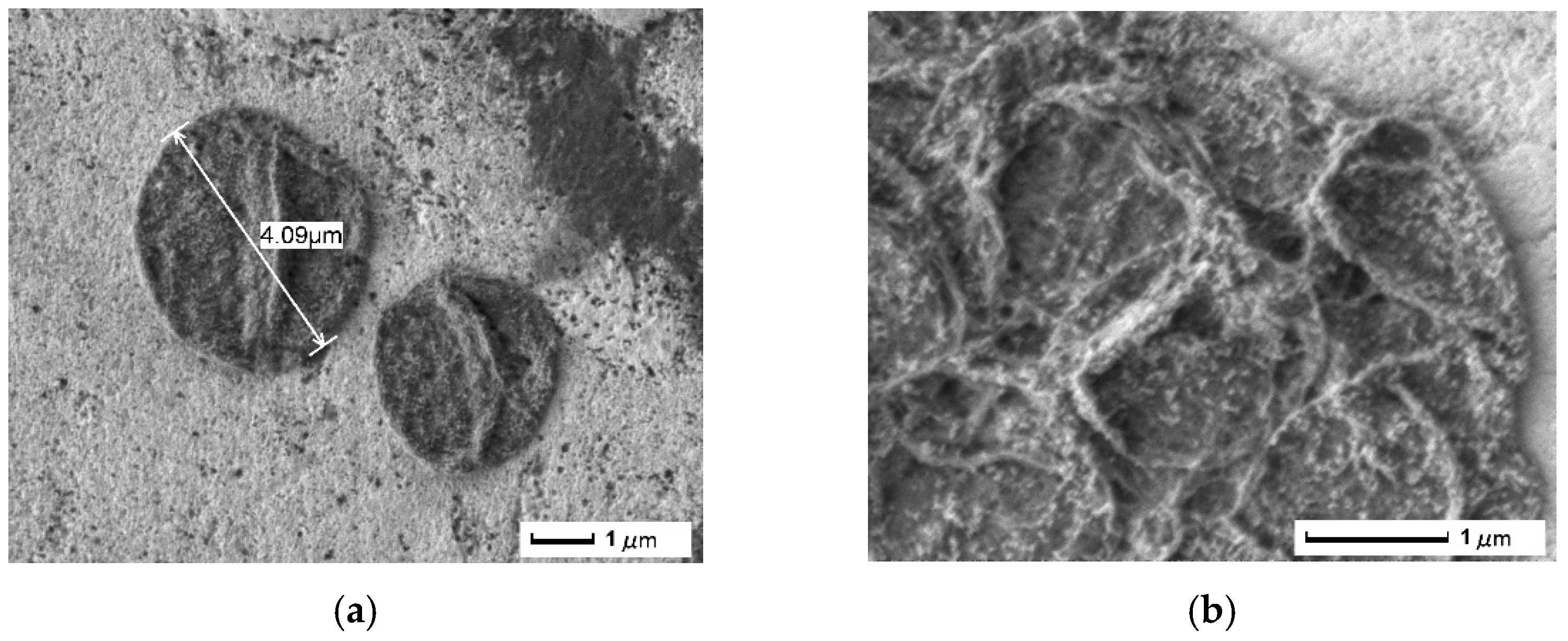 Pharmaceutics 14 00065 g006