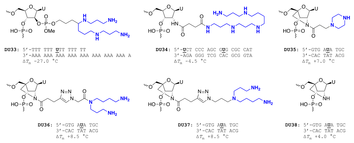 Pharmaceutics 14 00066 g004 550