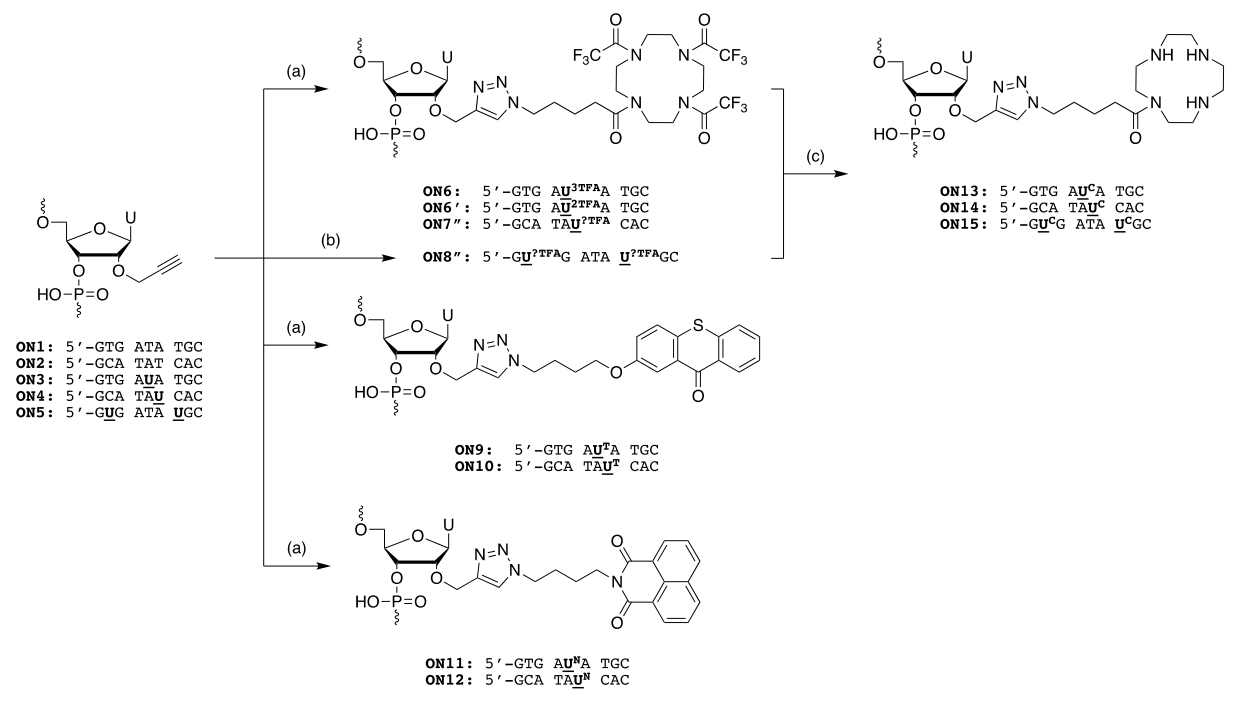 Pharmaceutics 14 00066 sch002 550