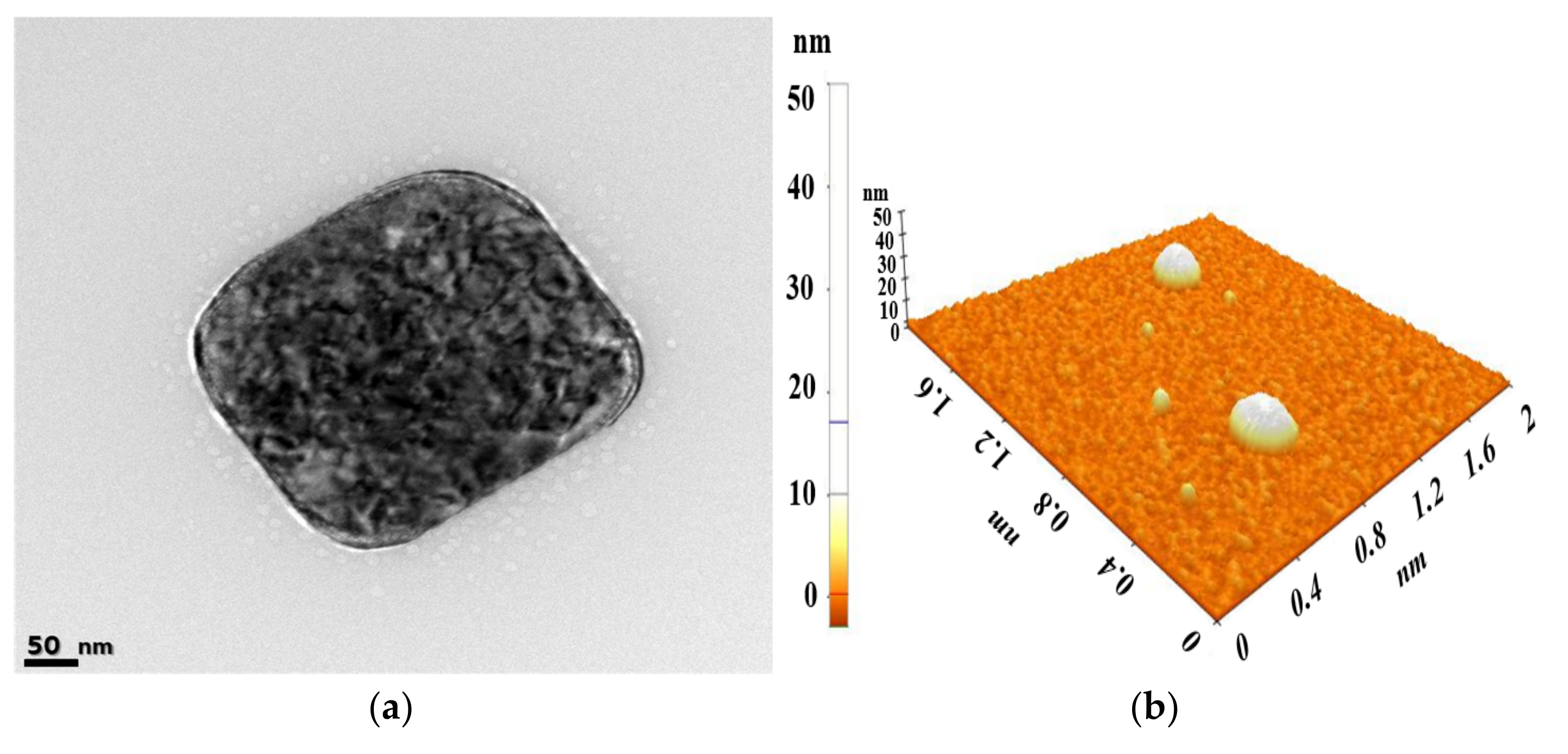 Pharmaceutics 14 00068 g003 550