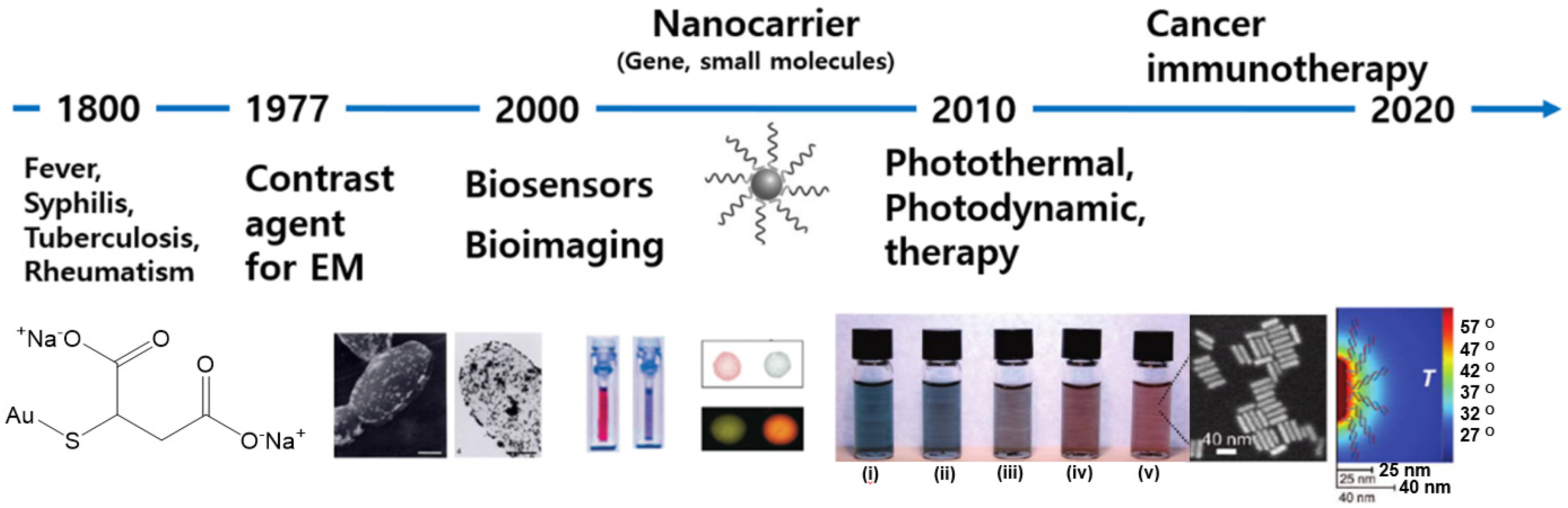 Pharmaceutics 14 00070 g001