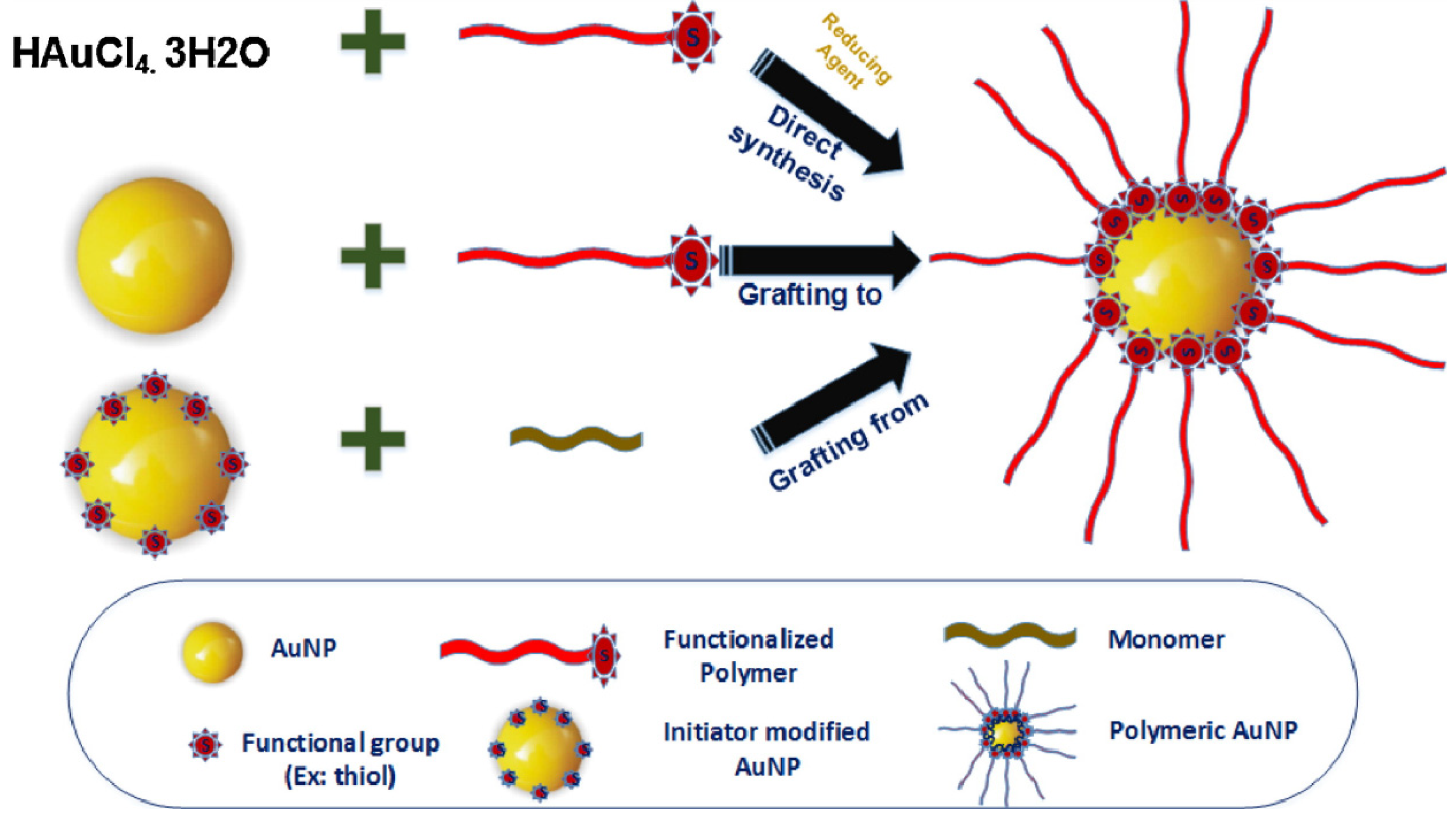 Pharmaceutics 14 00070 g002