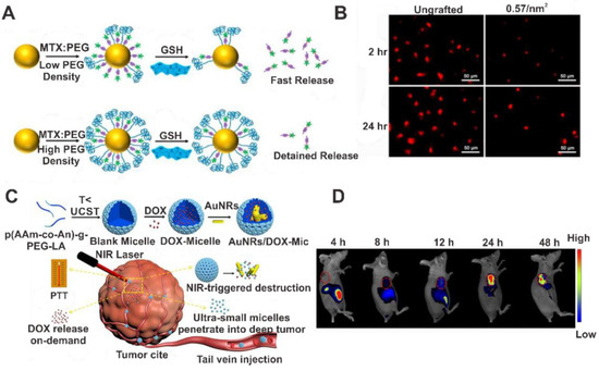Gold-Polymer Nanocomposites for Future Therapeutic and