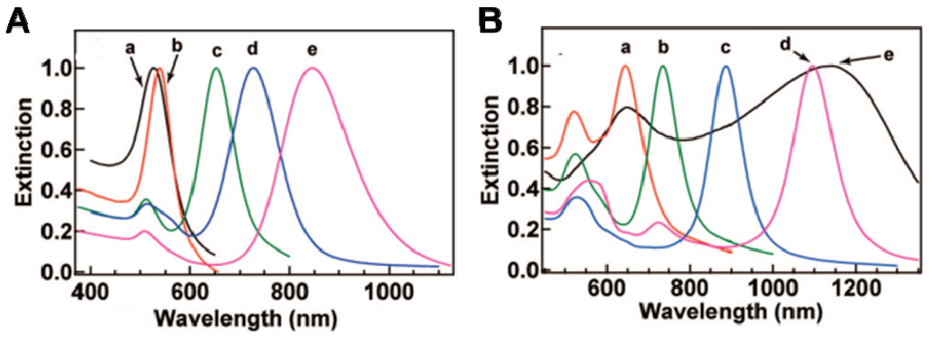 Pharmaceutics 14 00070 g004