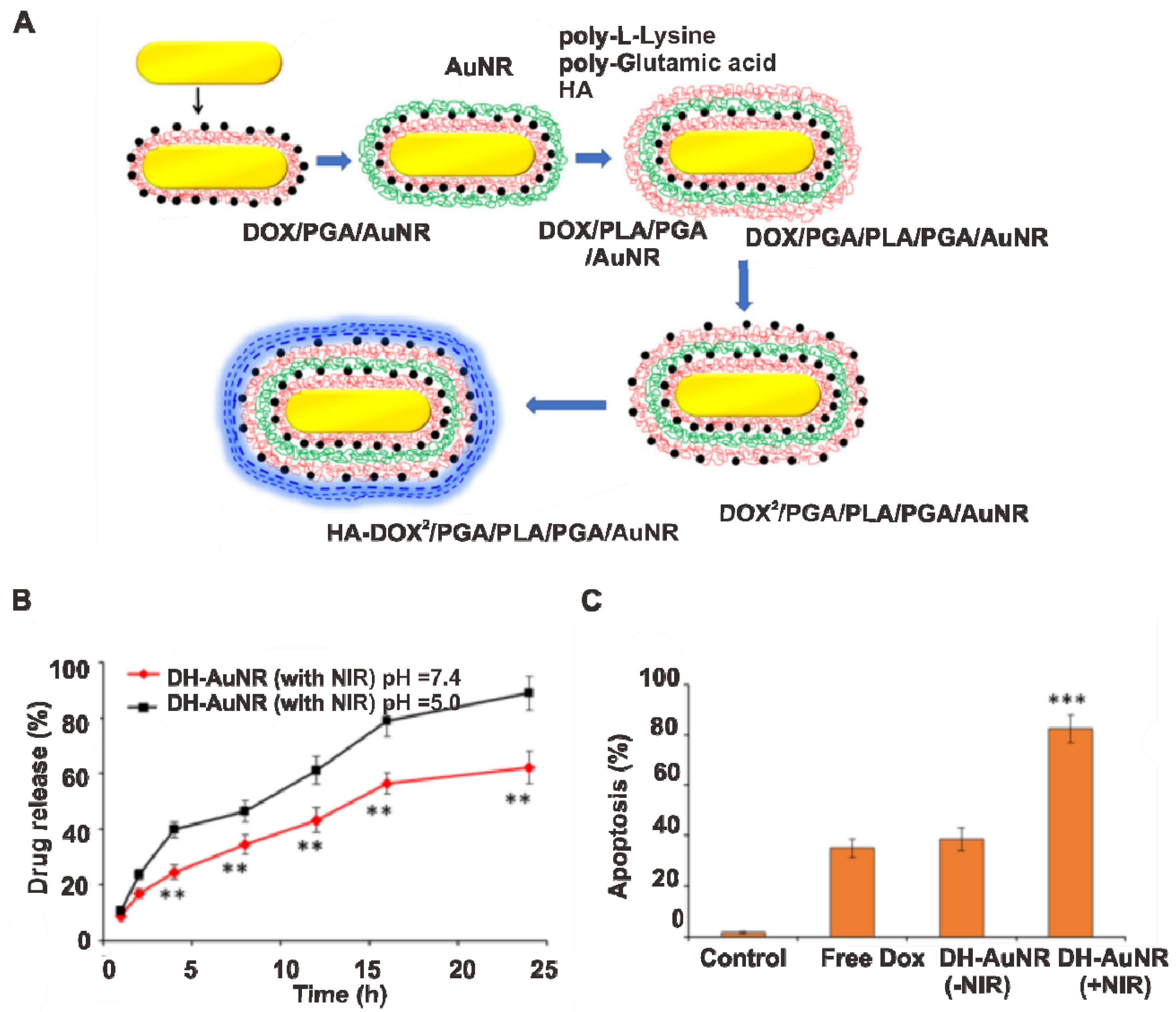 Pharmaceutics 14 00070 g006