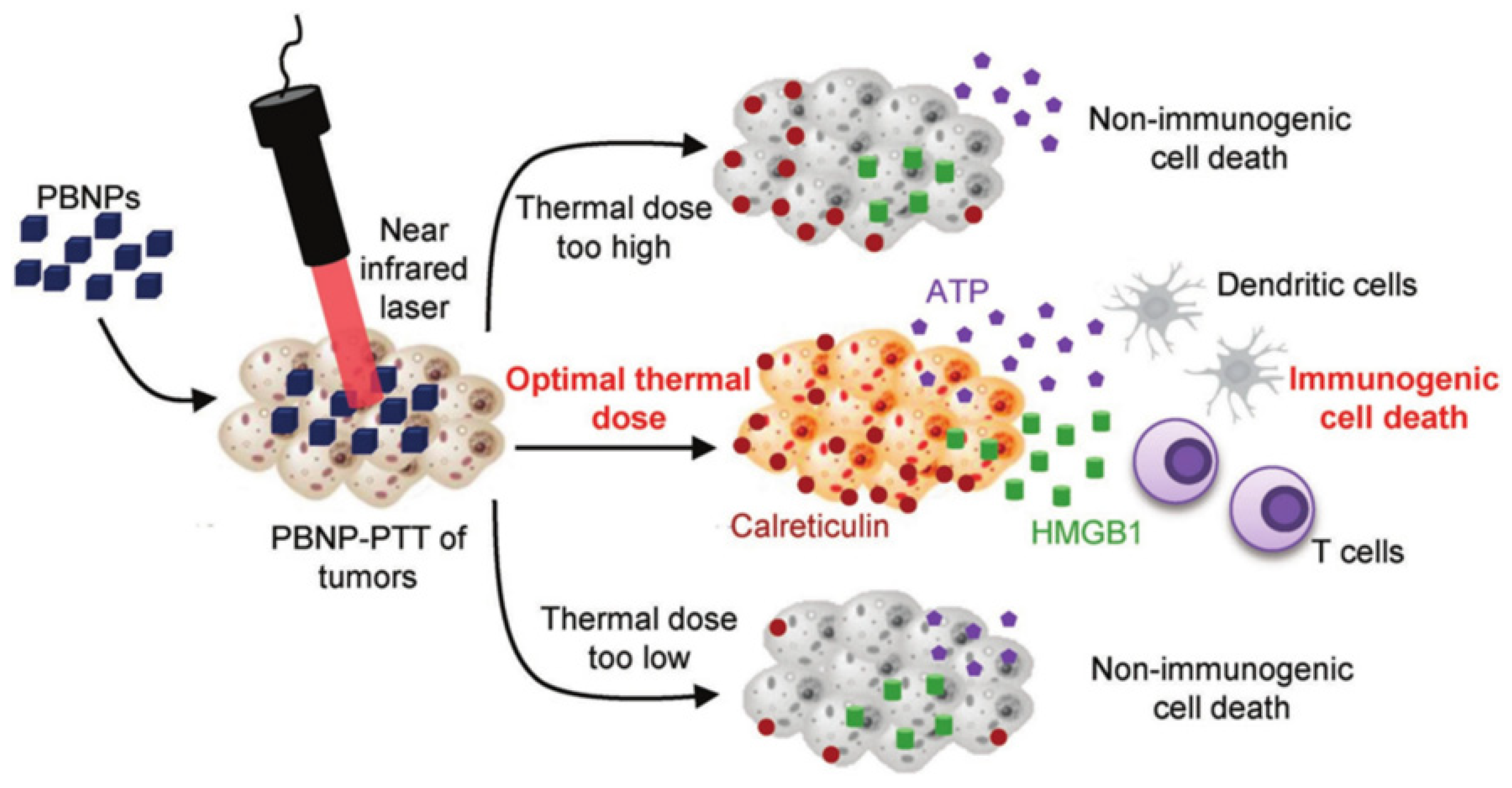 Pharmaceutics 14 00070 g007