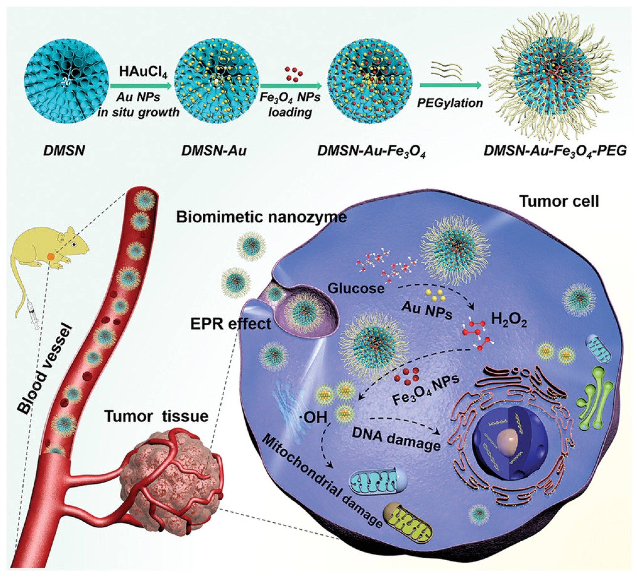 Pharmaceutics 14 00070 g008