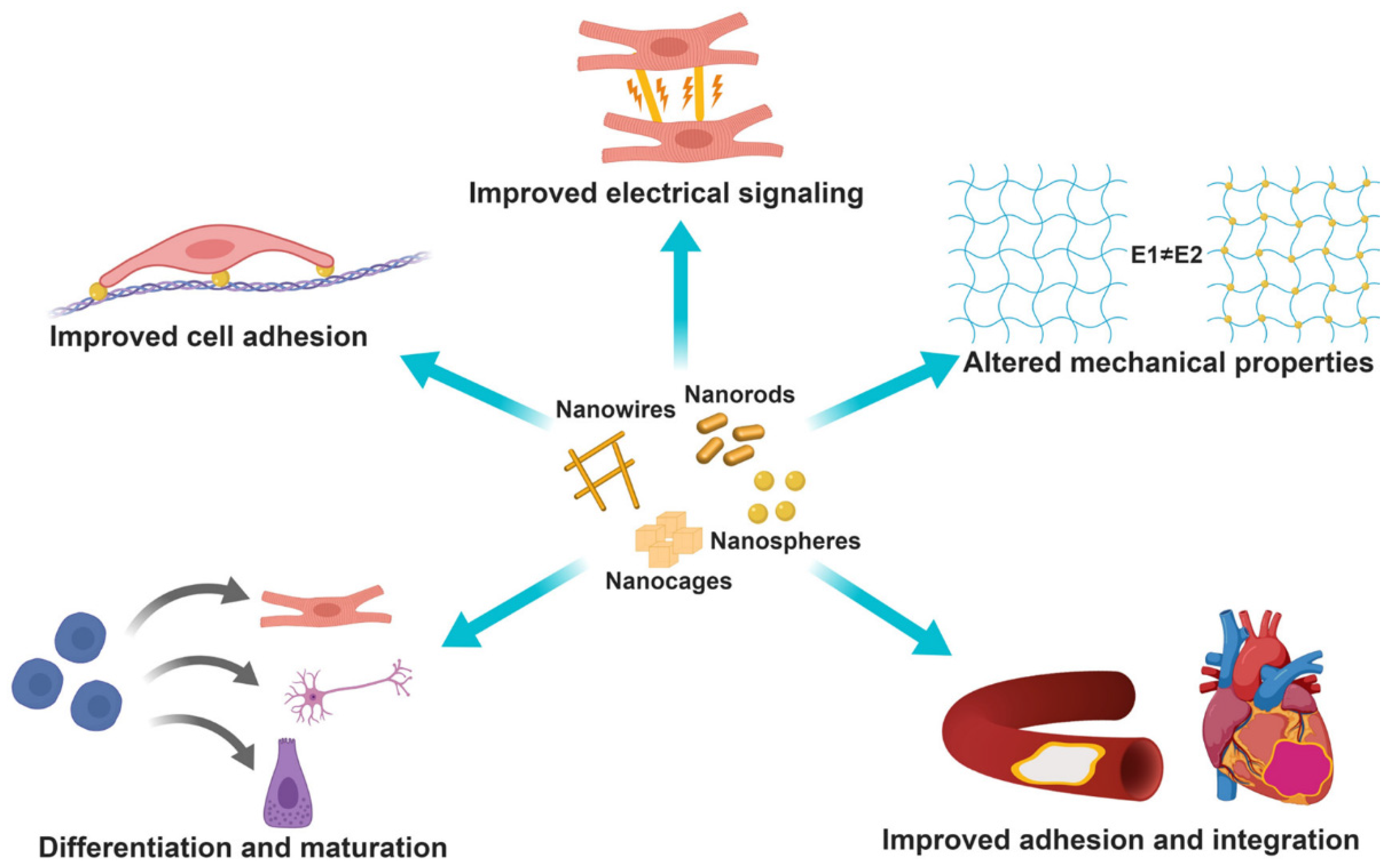 Pharmaceutics 14 00070 g009
