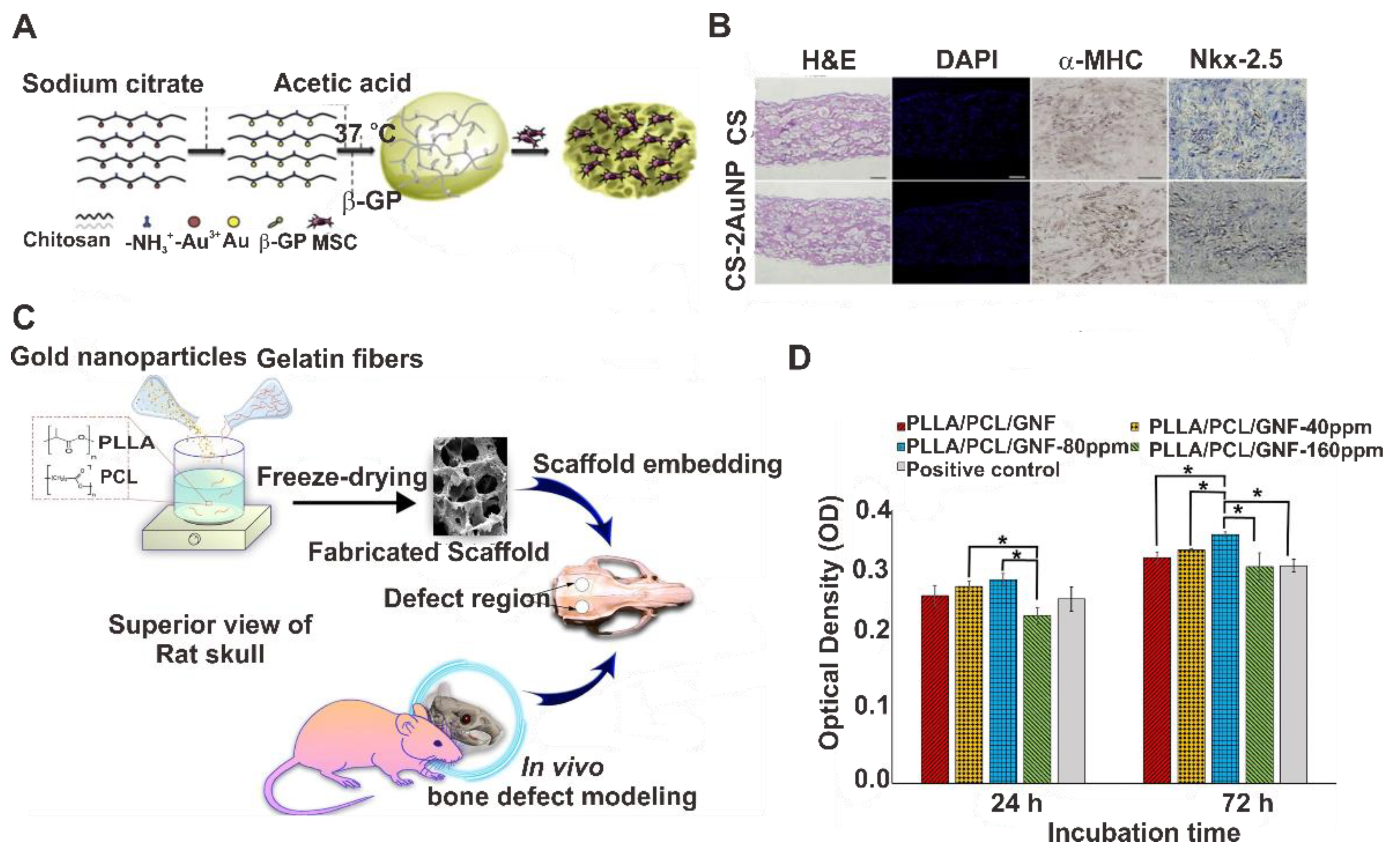 Pharmaceutics 14 00070 g010