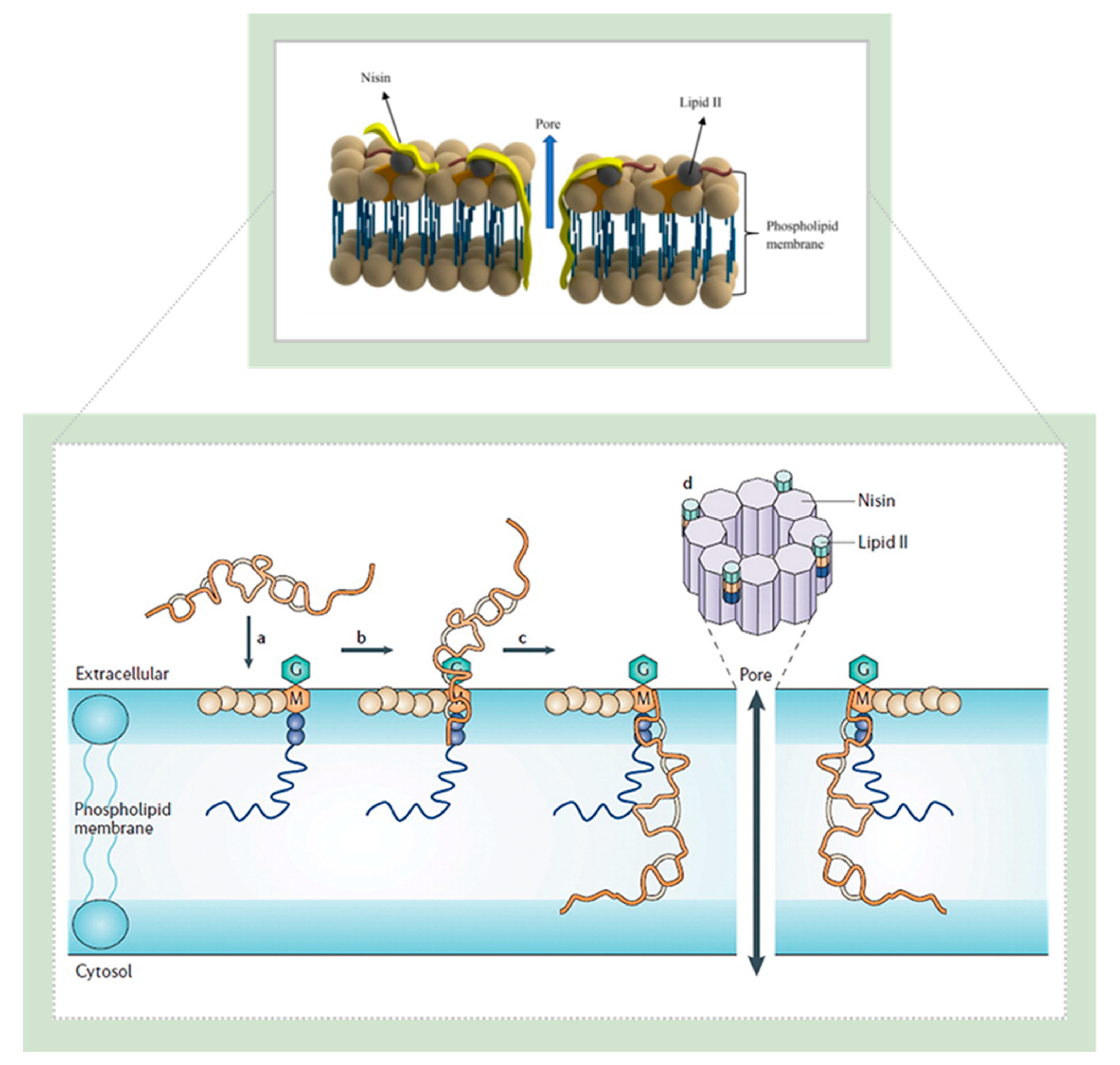 Pharmaceutics 14 00076 g010