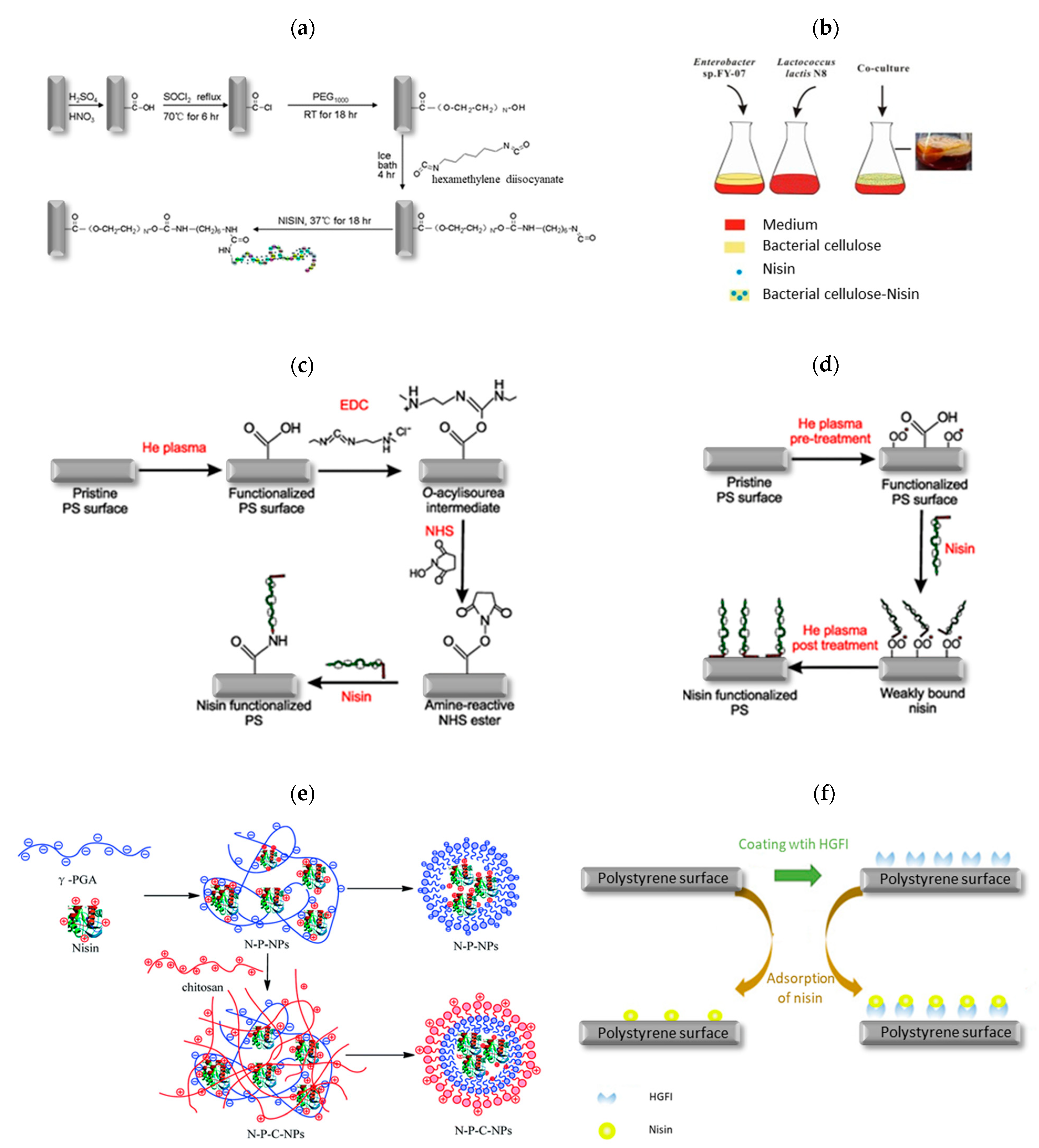 Pharmaceutics 14 00076 g011