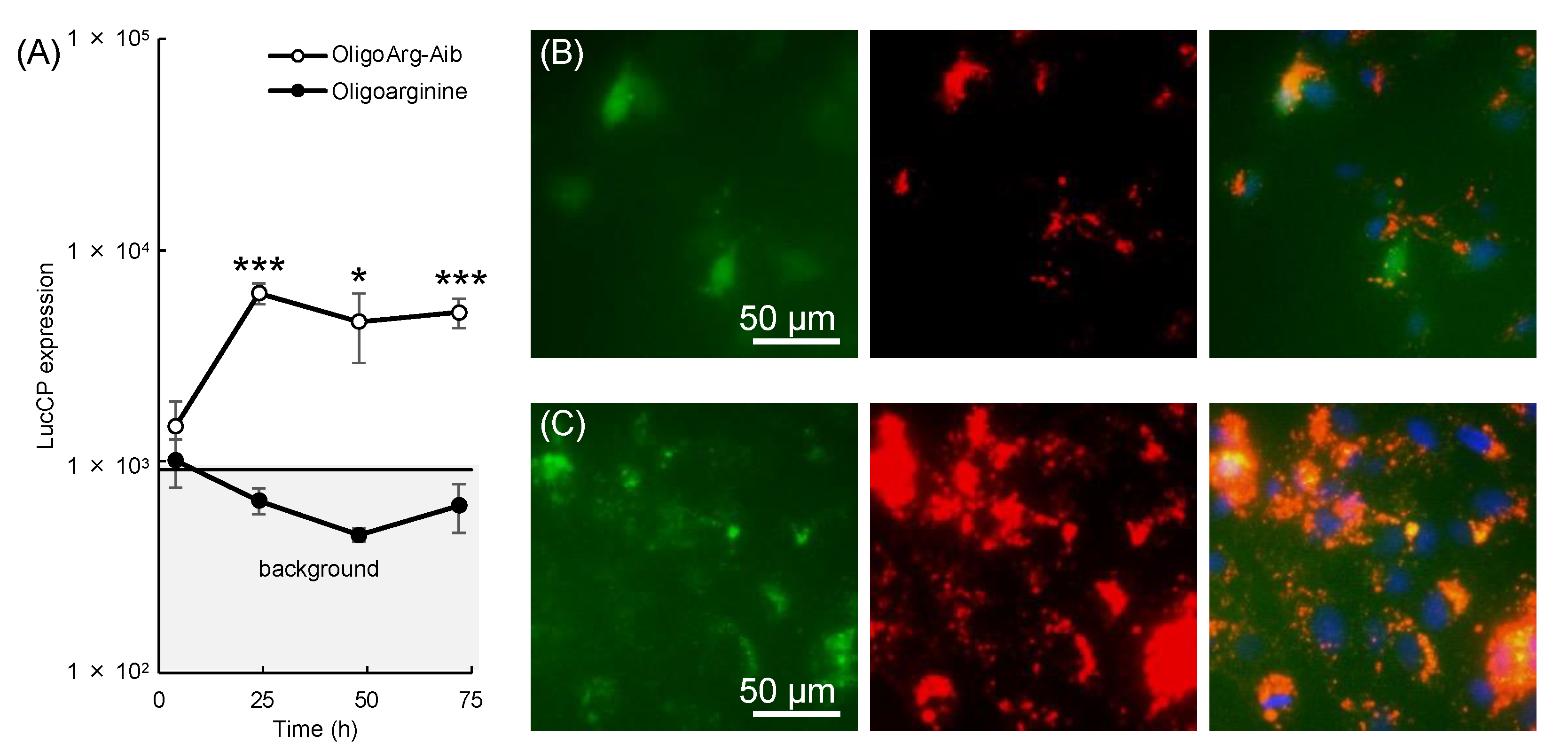 Pharmaceutics 14 00078 g002 Pharmaceutics 14 00078 g002