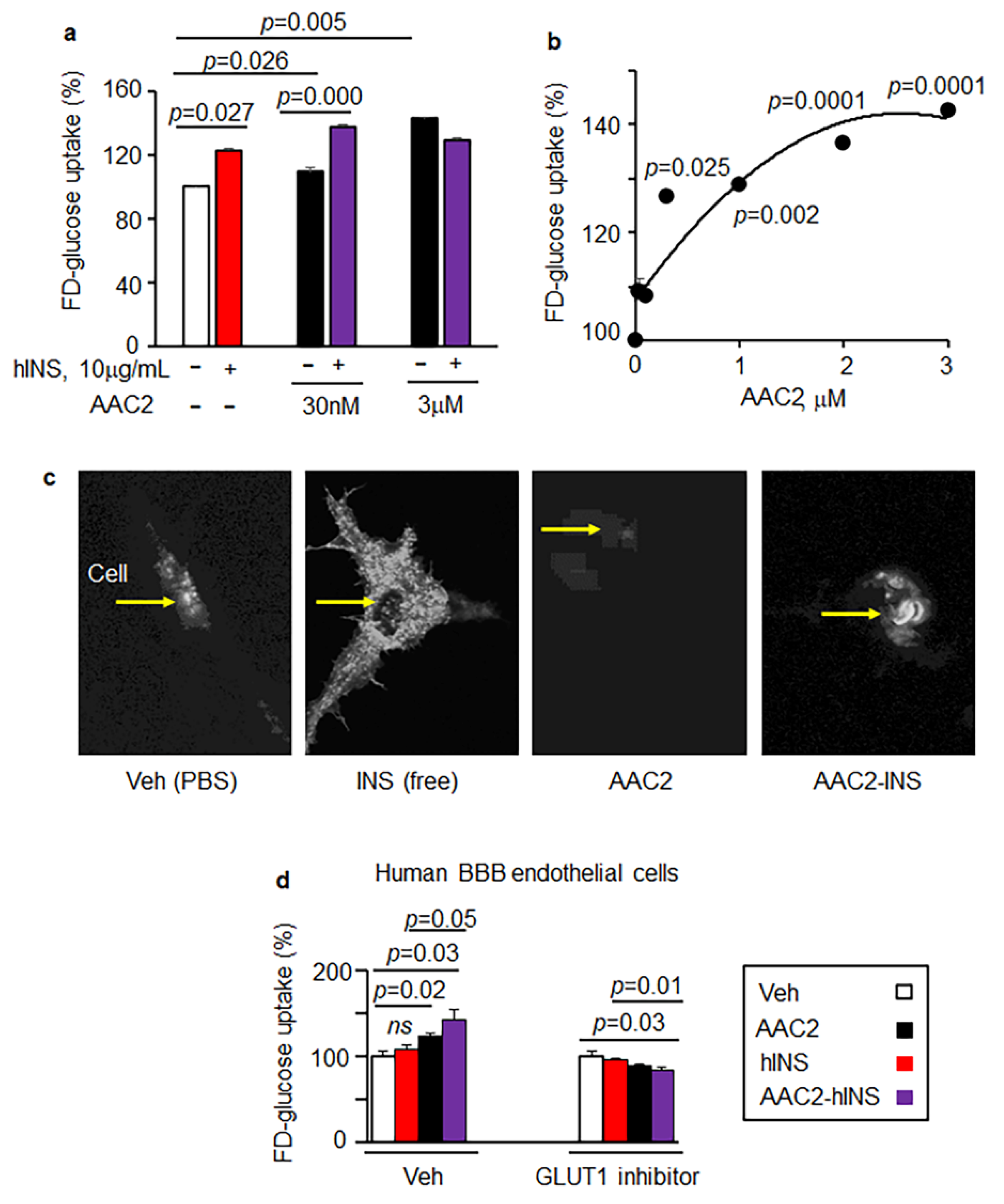 Pharmaceutics 14 00081 g003 Pharmaceutics 14 00081 g003