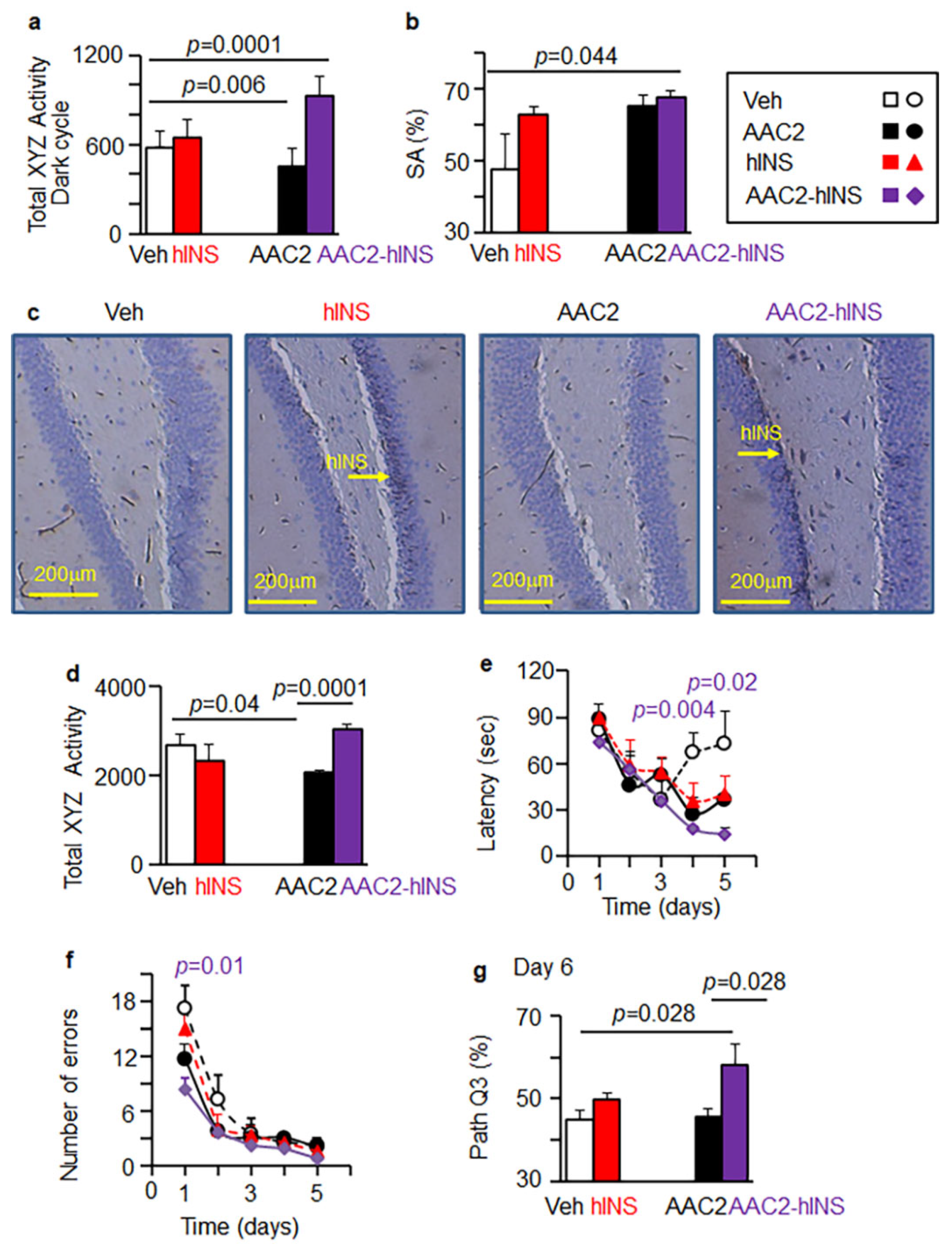 Pharmaceutics 14 00081 g007 Pharmaceutics 14 00081 g007
