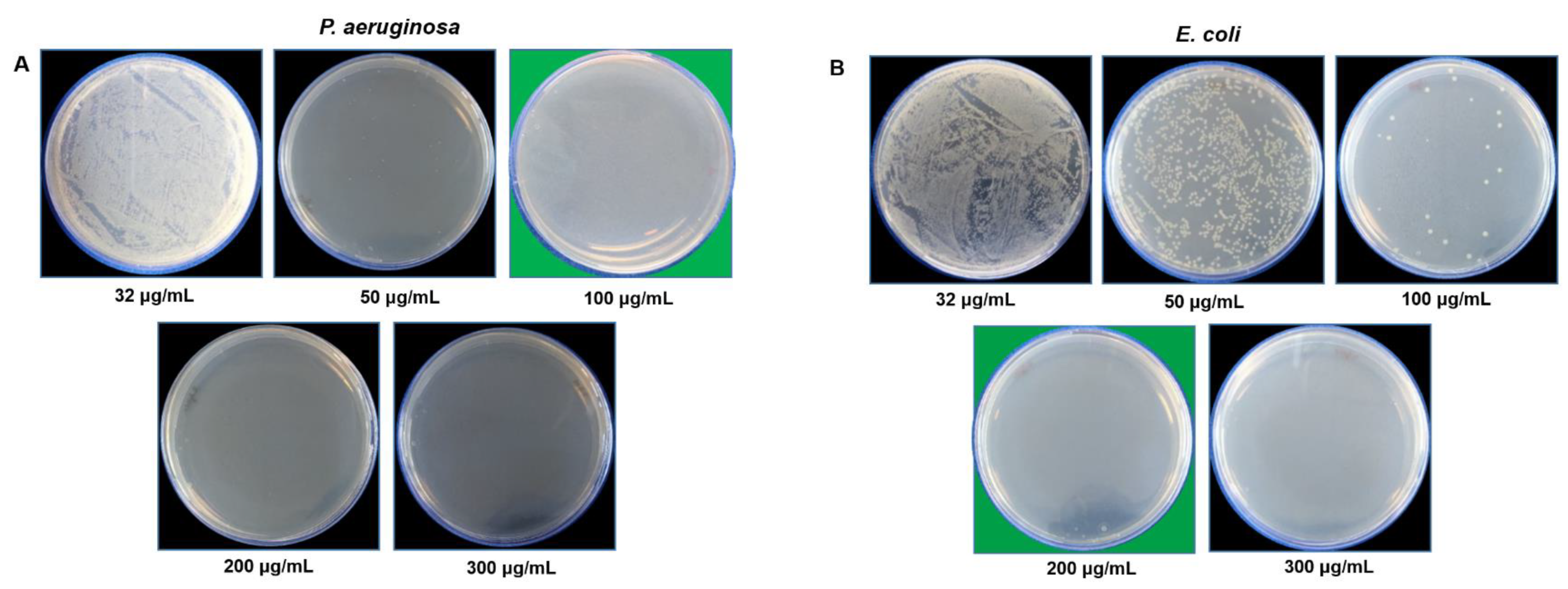 Pharmaceutics 14 00082 g008