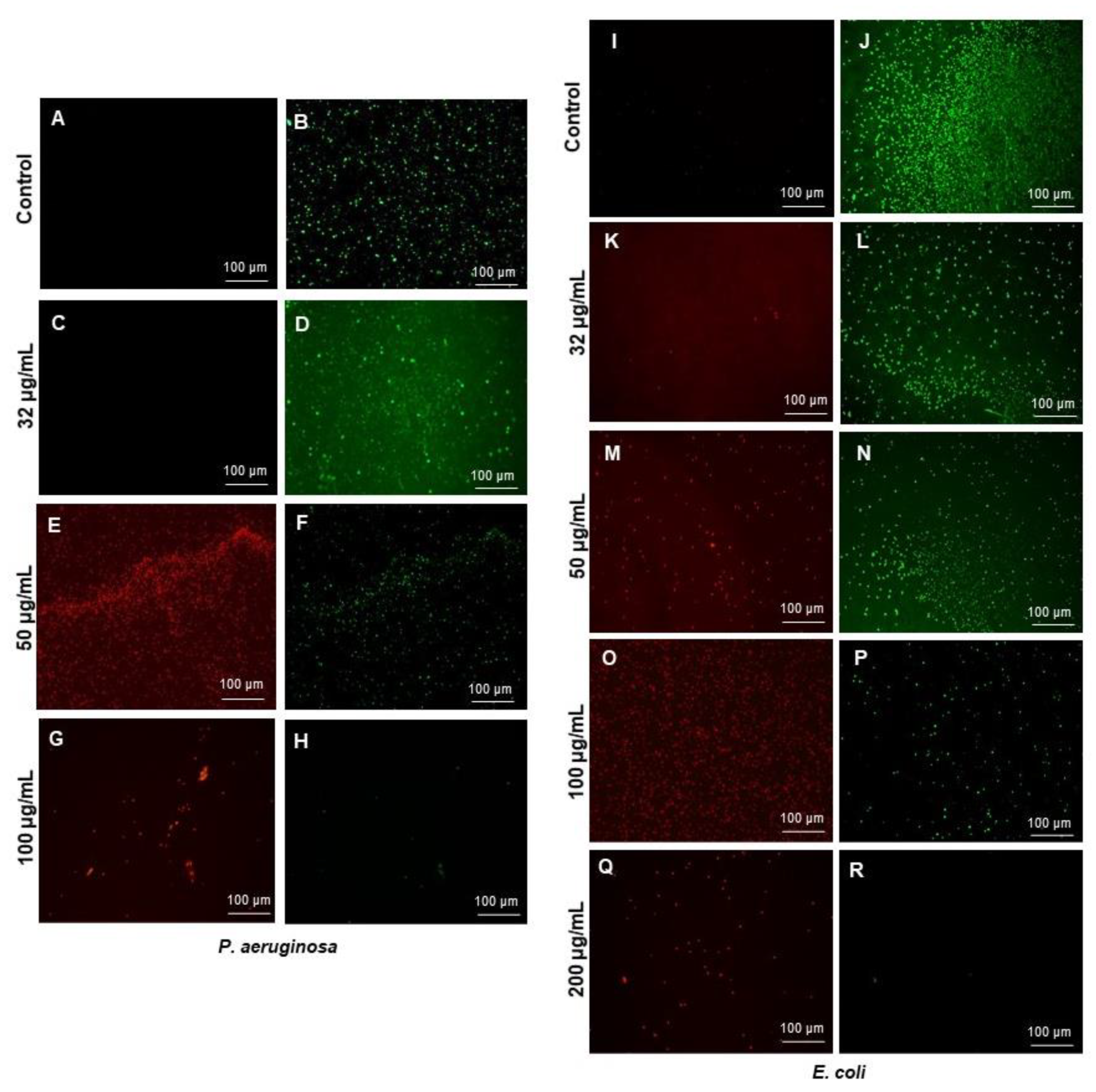 Pharmaceutics 14 00082 g009
