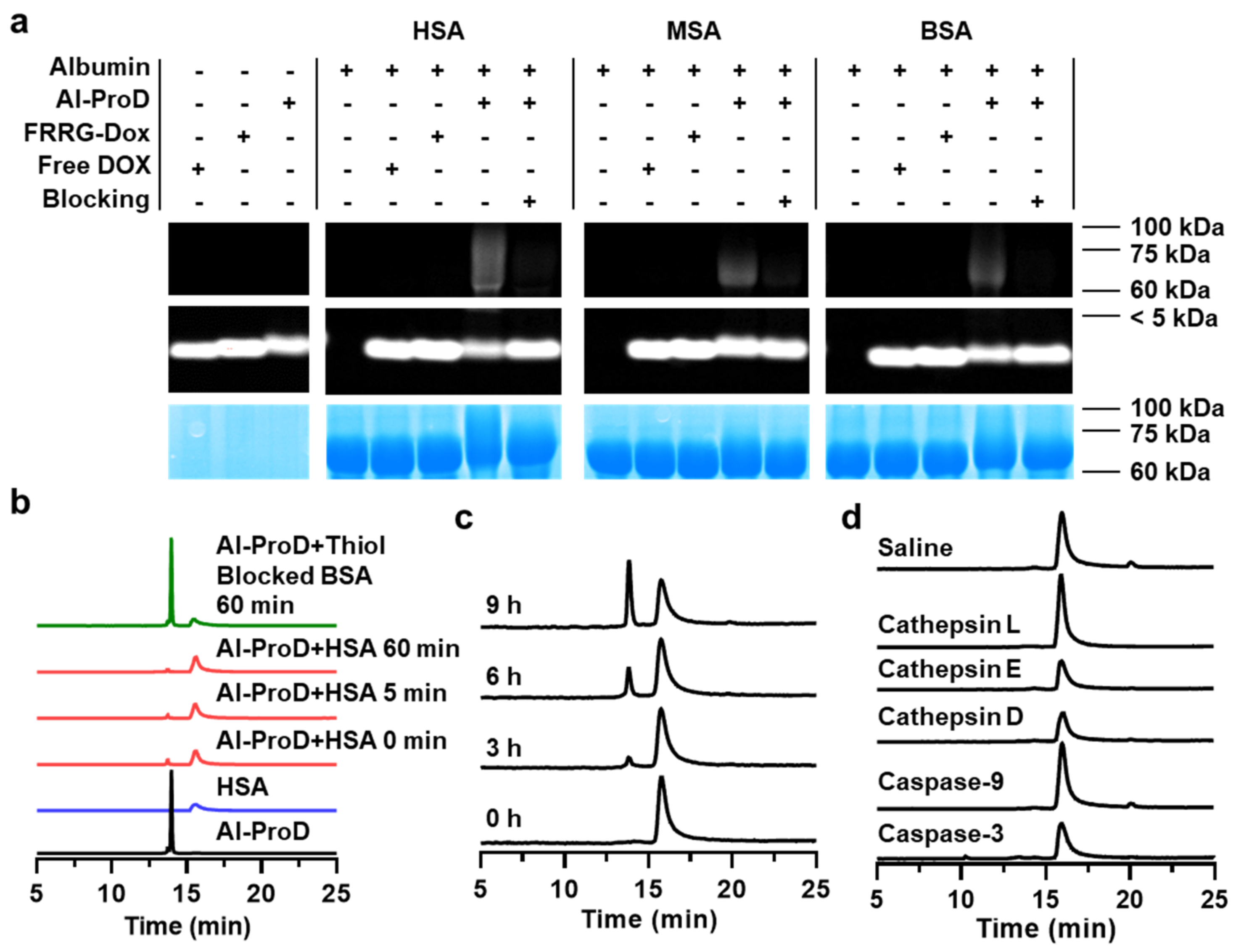 Pharmaceutics 14 00083 g002 550