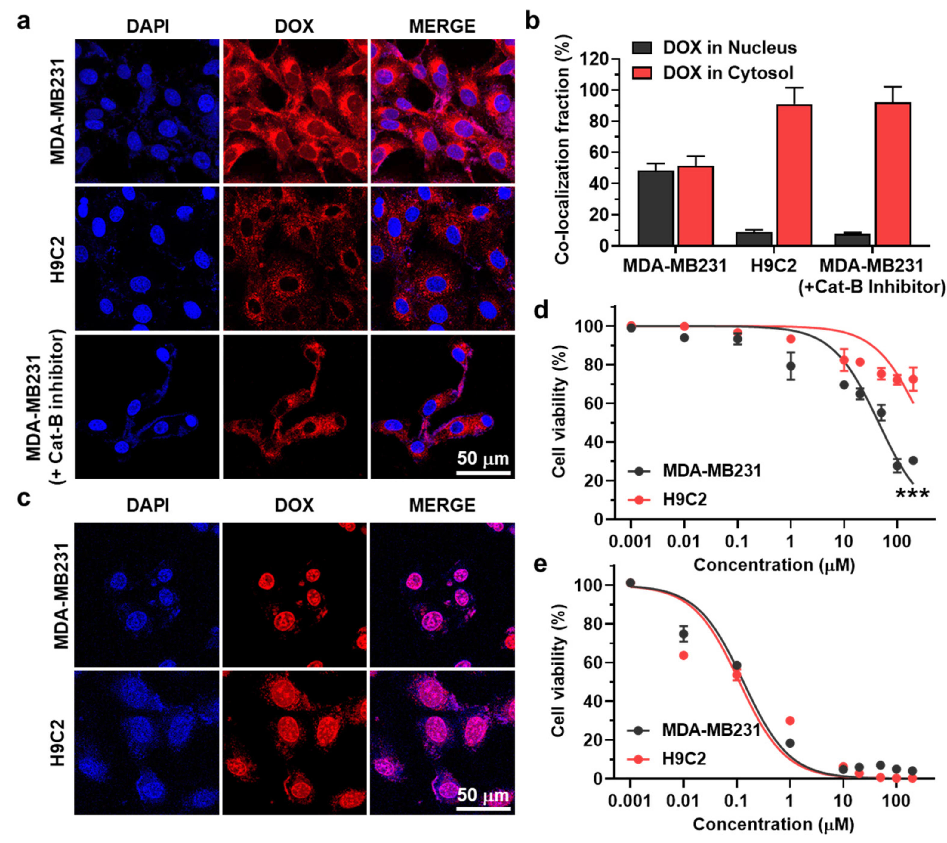 Pharmaceutics 14 00083 g003 550