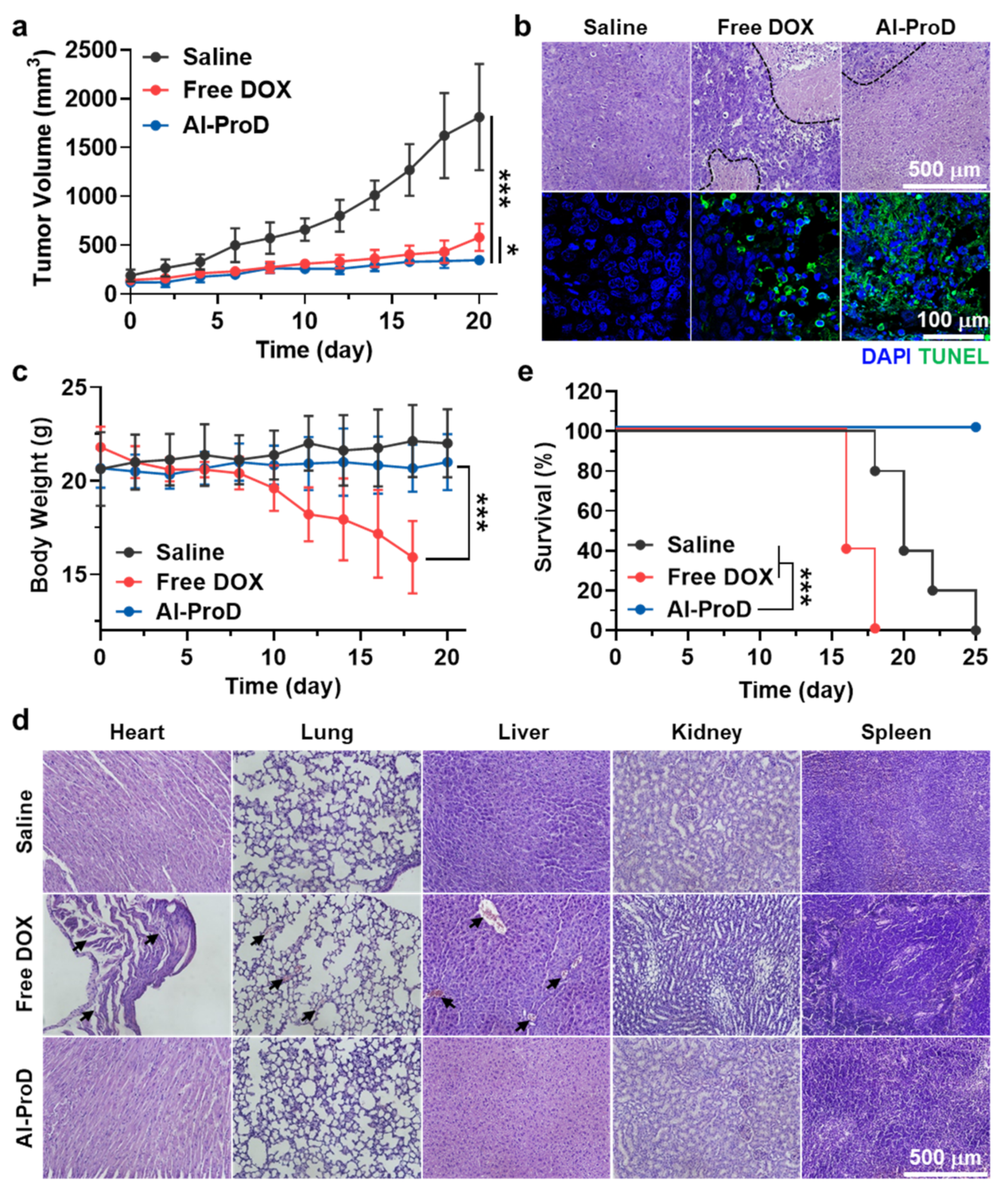 Pharmaceutics 14 00083 g005 550
