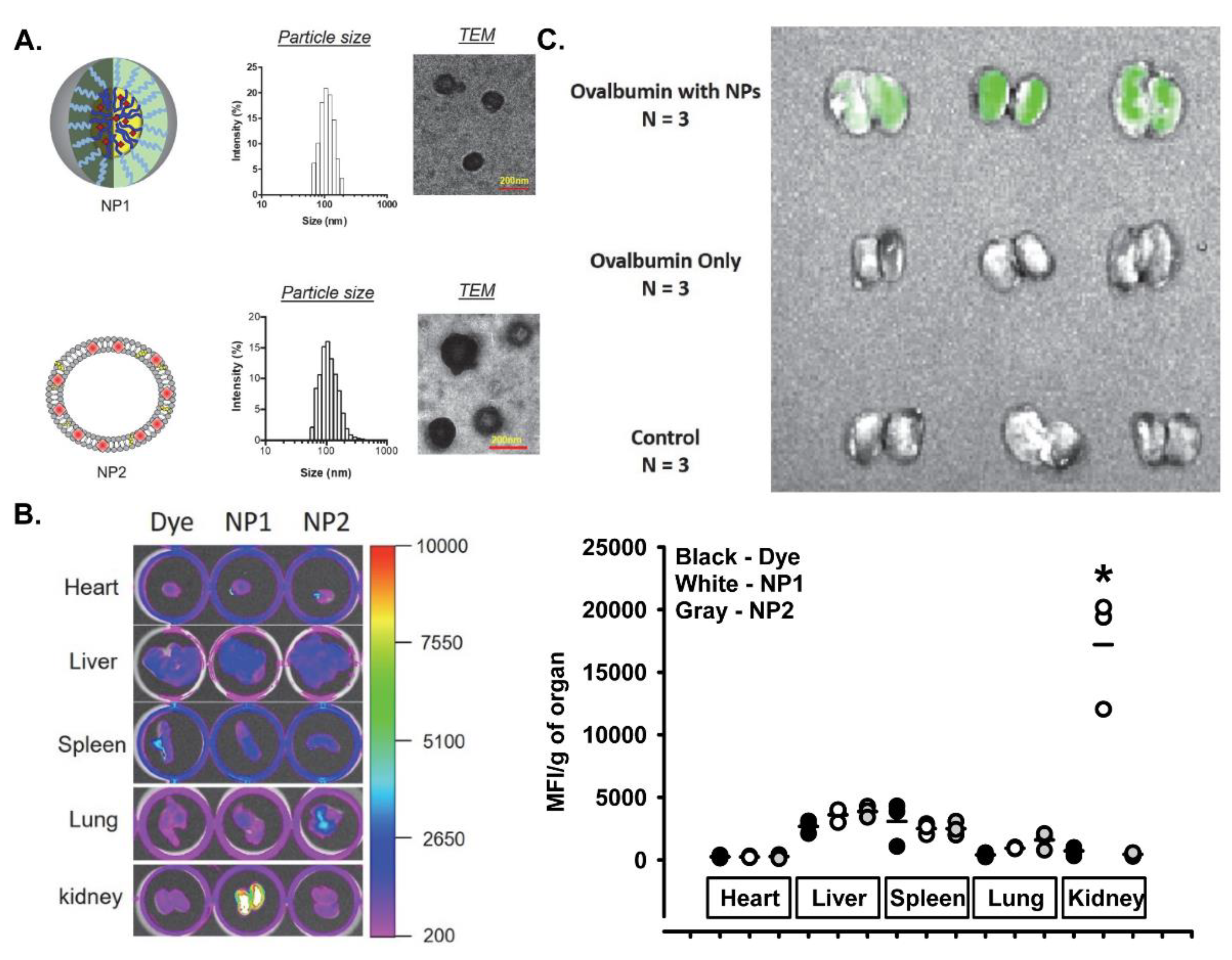 Pharmaceutics 14 00084 g001