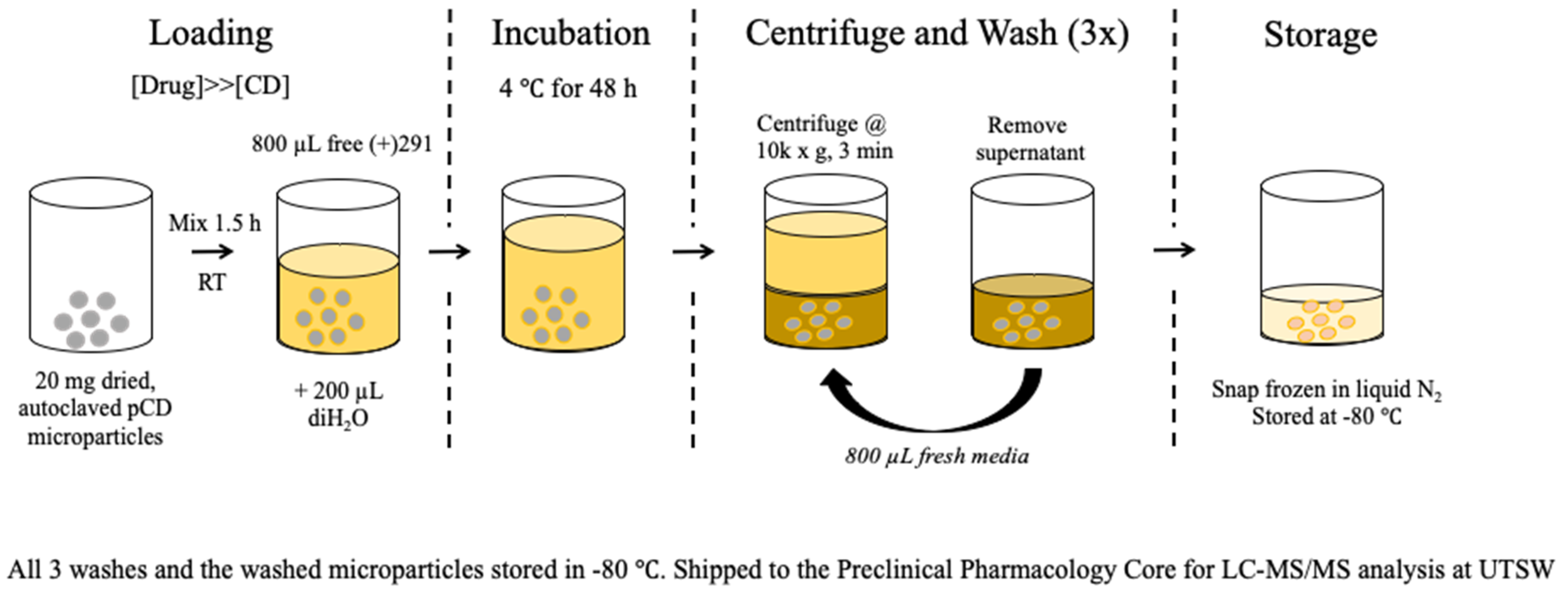 Pharmaceutics 14 00085 g001