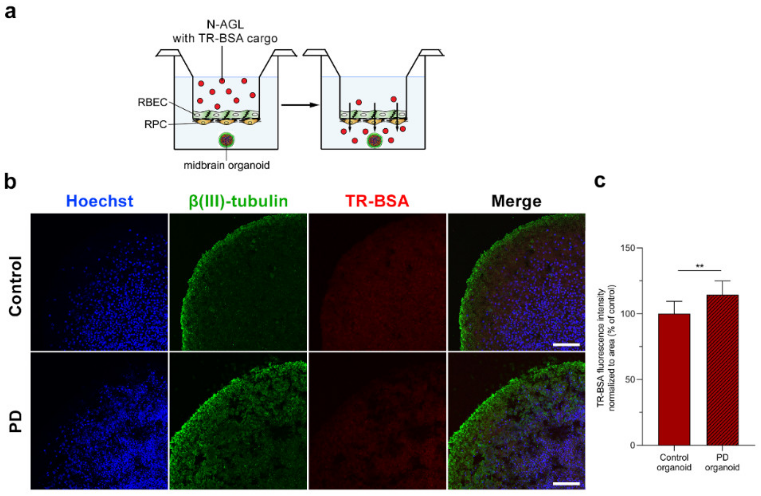 Pharmaceutics 14 00086 g007