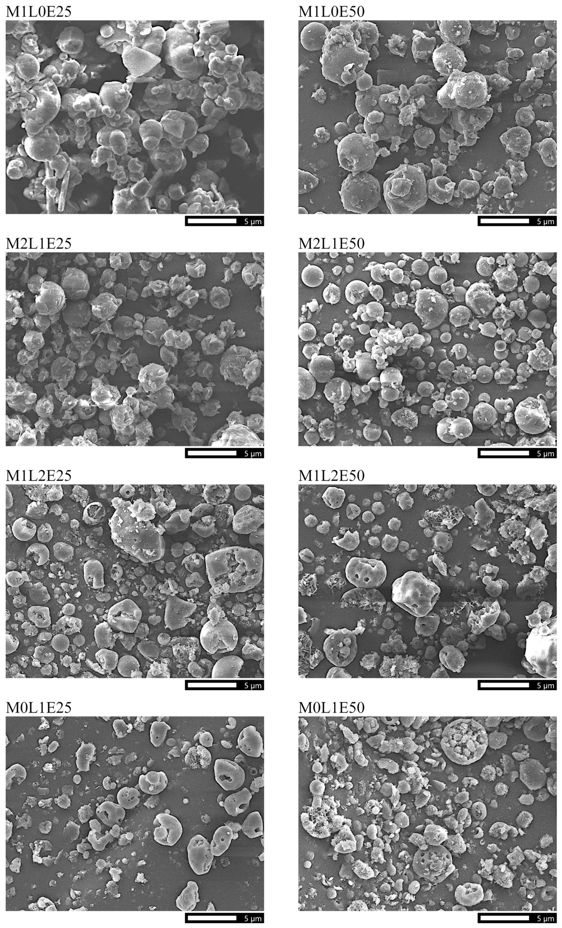 Pharmaceutics 14 00087 g001