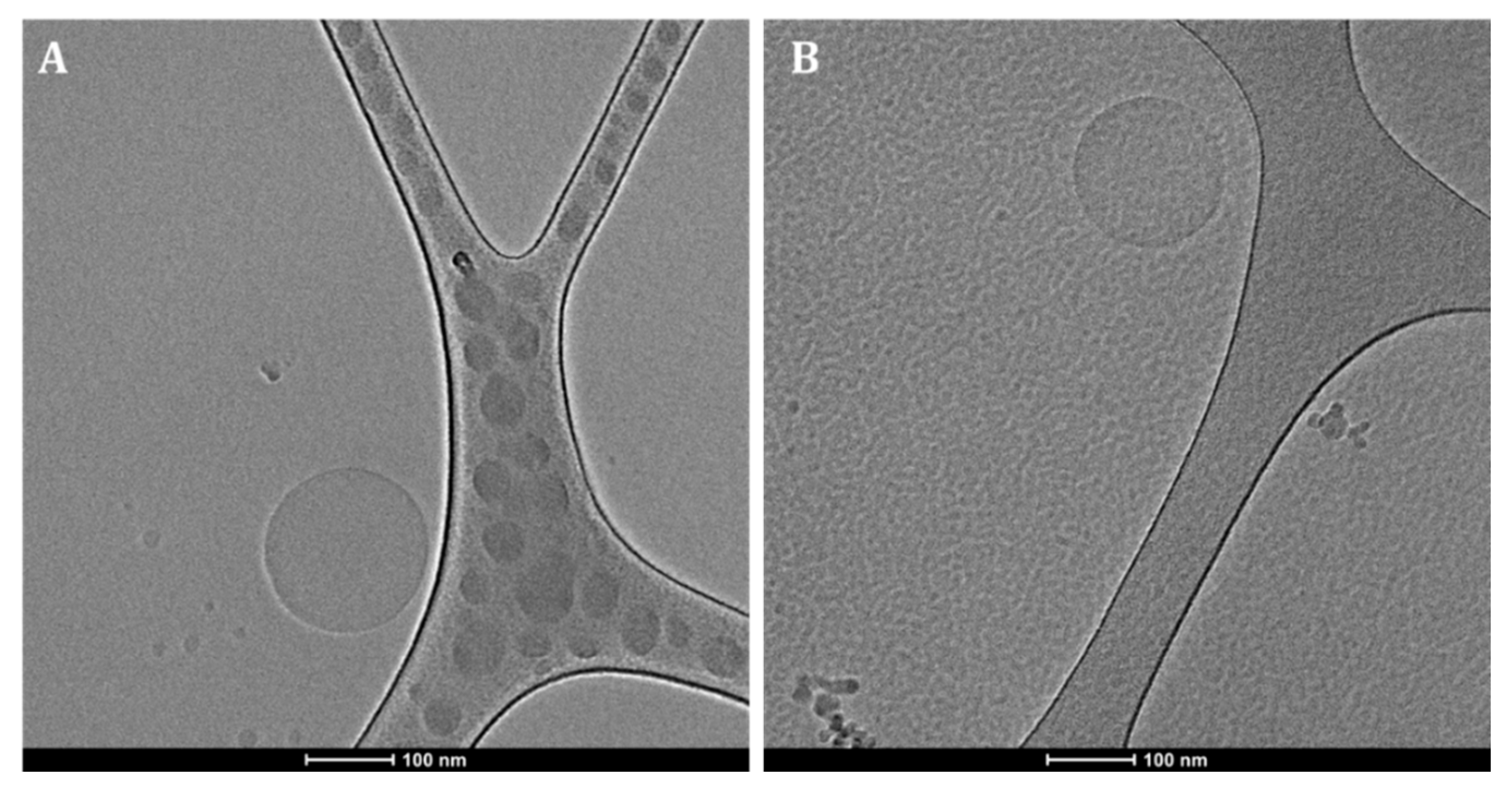 Pharmaceutics 14 00088 g006 550