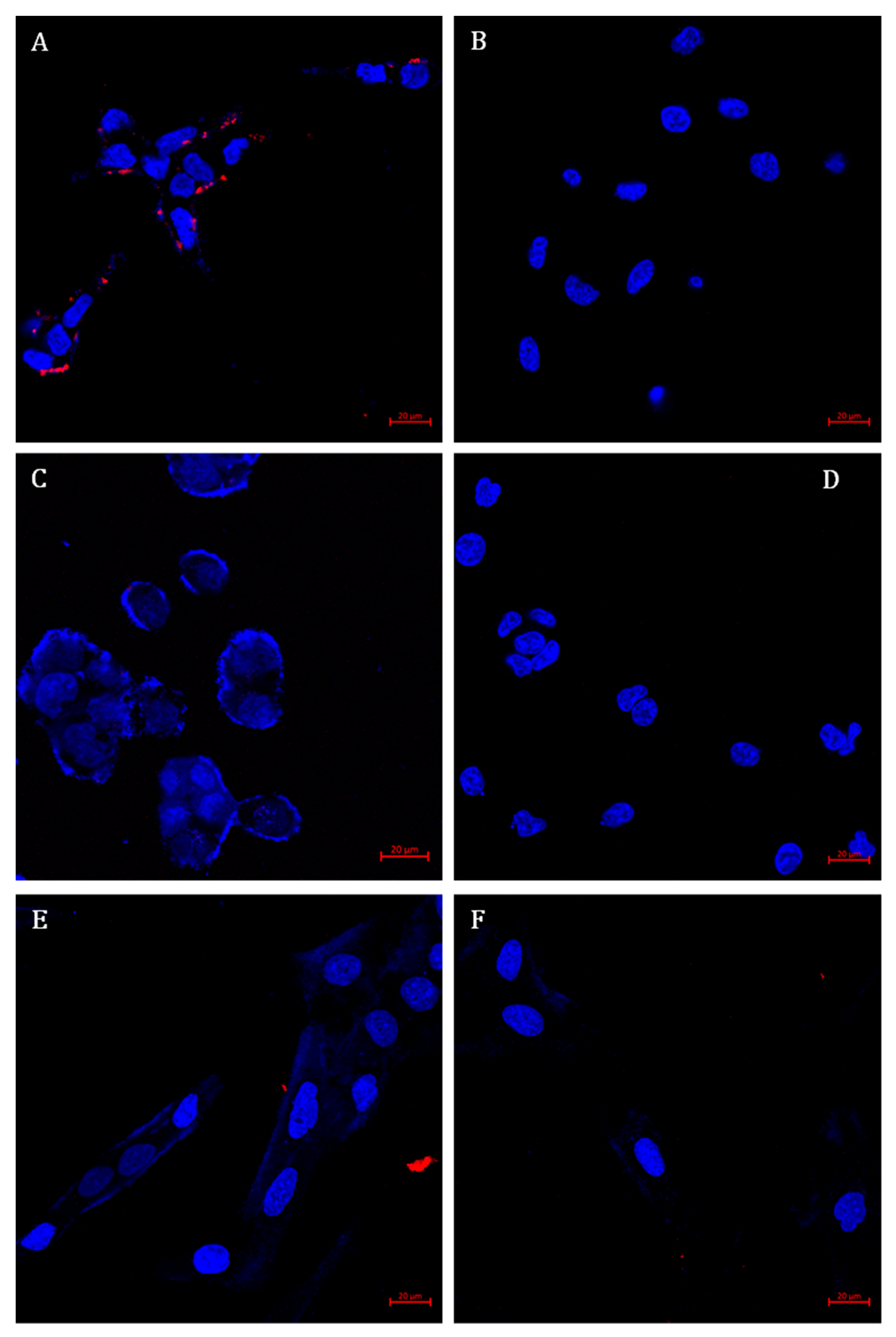 Pharmaceutics 14 00088 g010 550