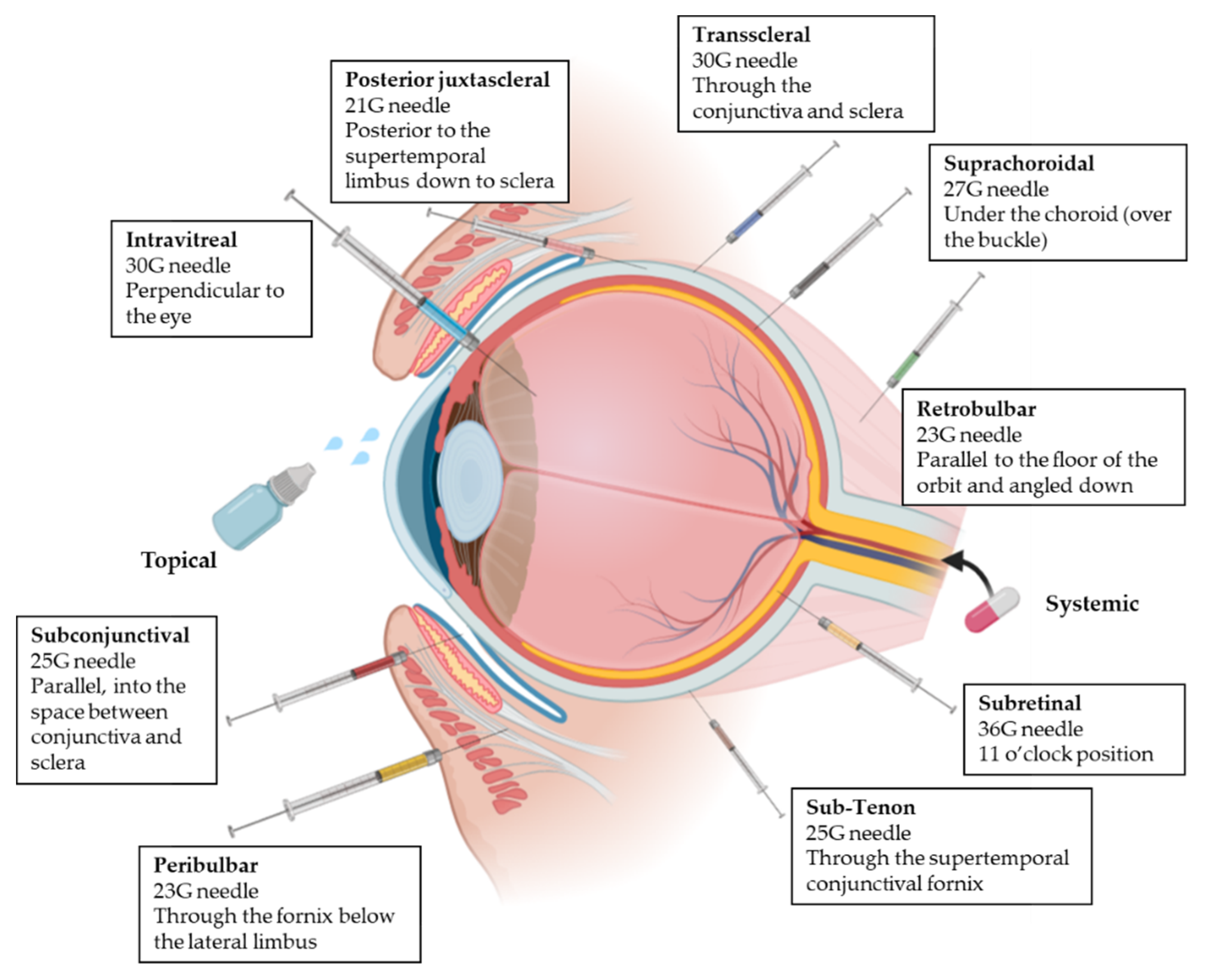 Pharmaceutics 14 00090 g003 Pharmaceutics 14 00090 g003