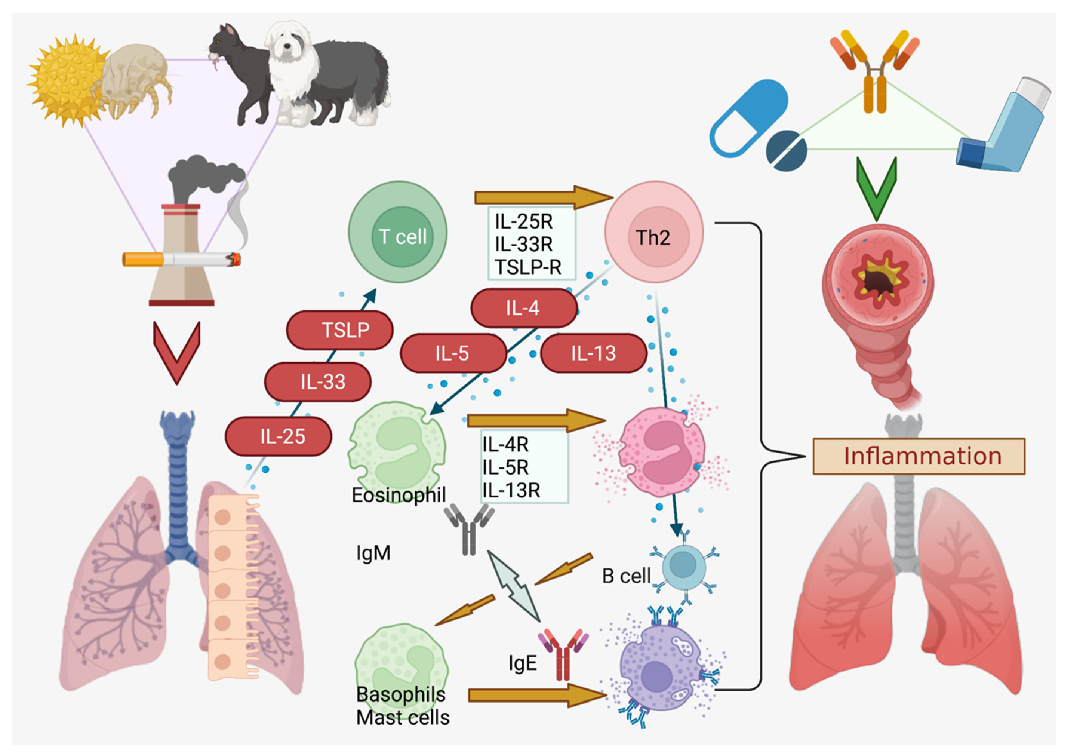 Pharmaceutics 14 00092 g001