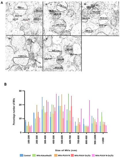 DRIVE 1993～2009～2026 -GLAY complete BEST Immunogenic Properties of MVs Containing Structural Hantaviral