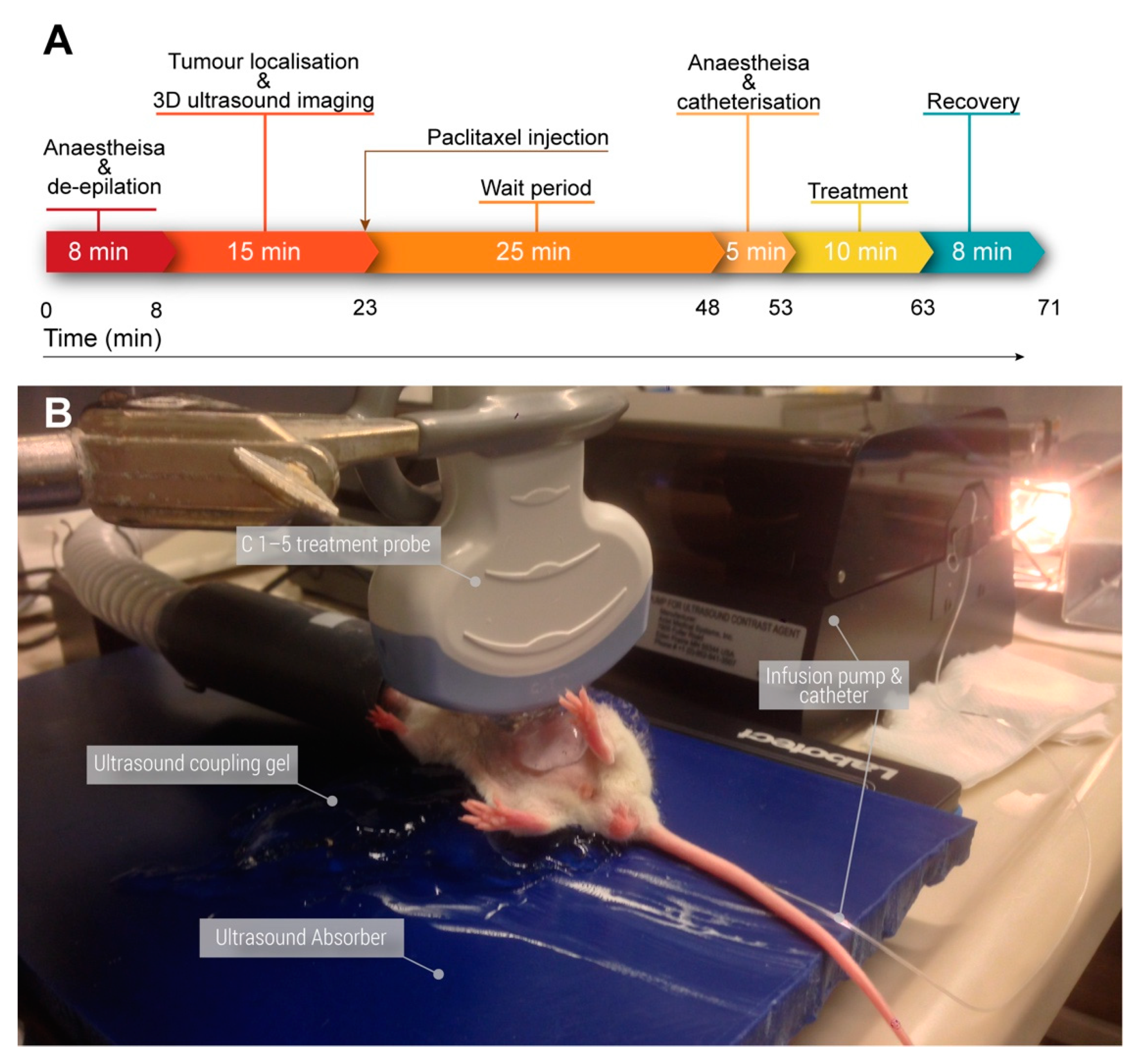 Pharmaceutics 14 00098 g002