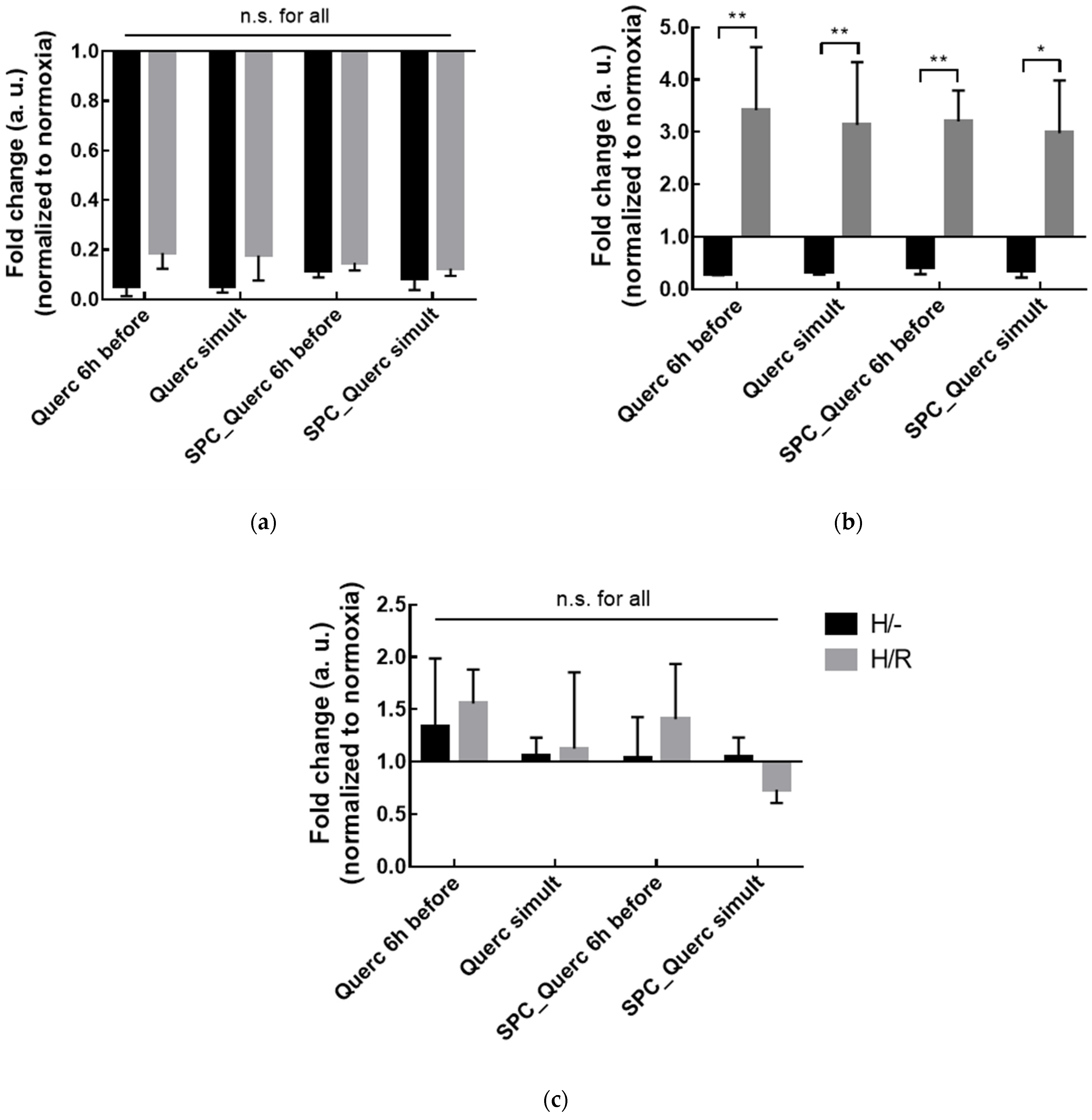 Pharmaceutics 14 00104 g008