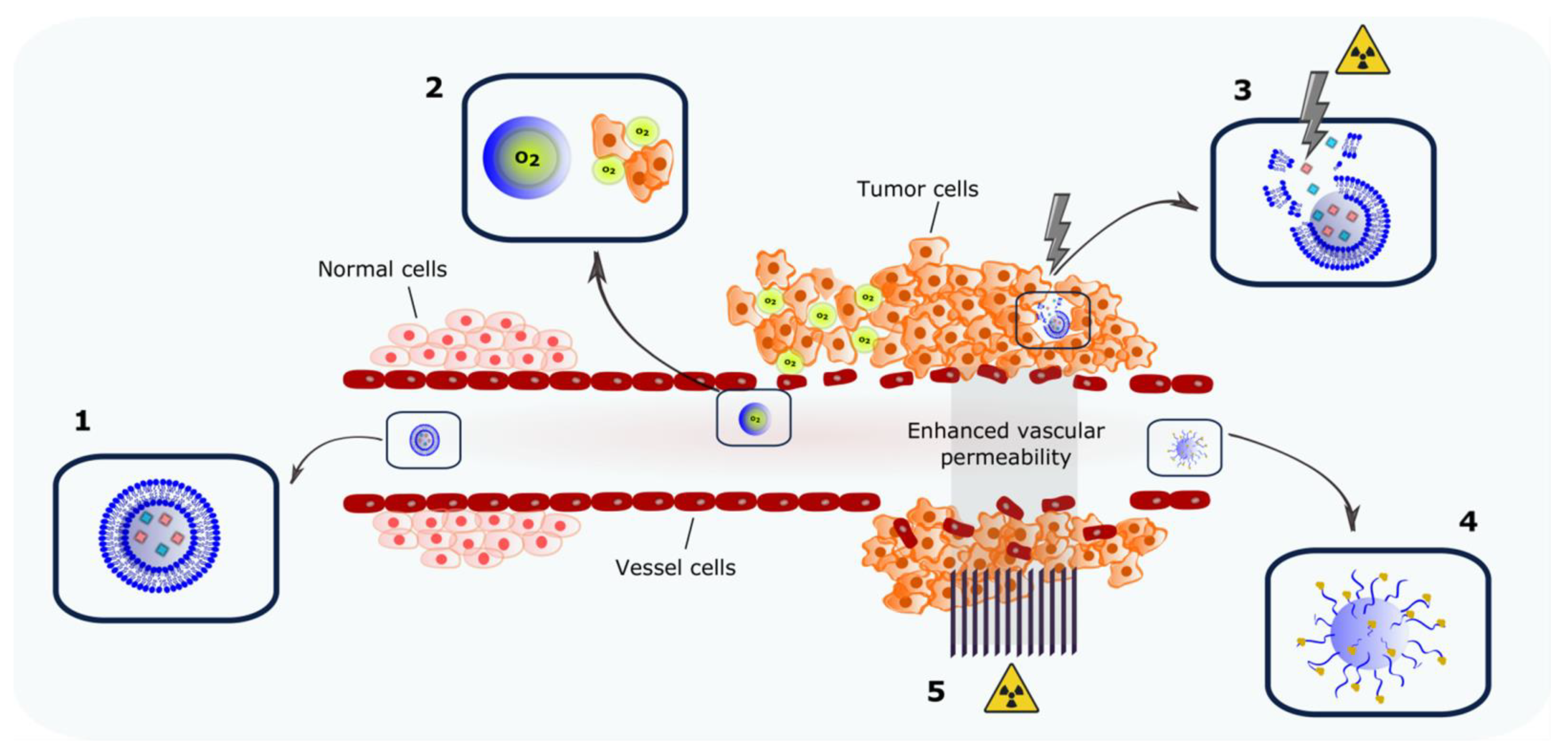 Pharmaceutics 14 00105 g002
