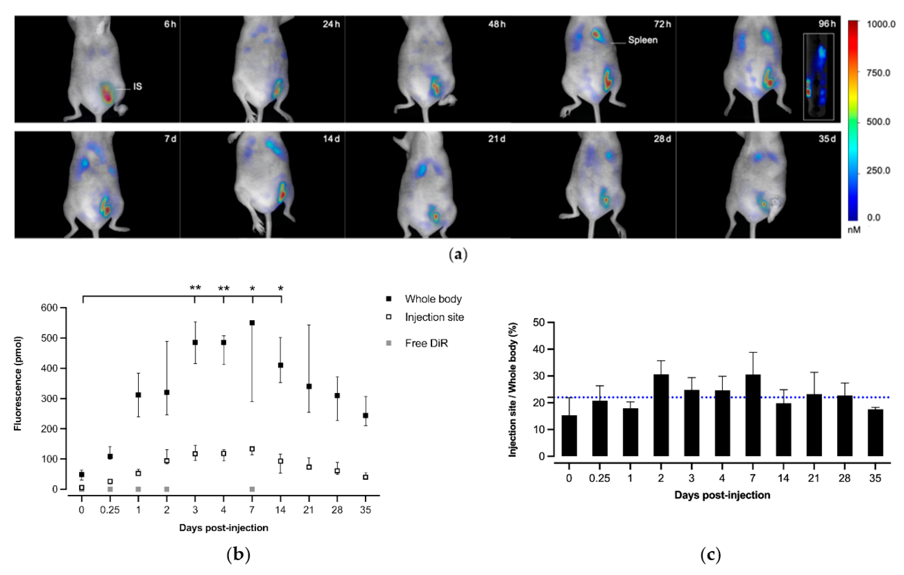 Pharmaceutics 14 00107 g003