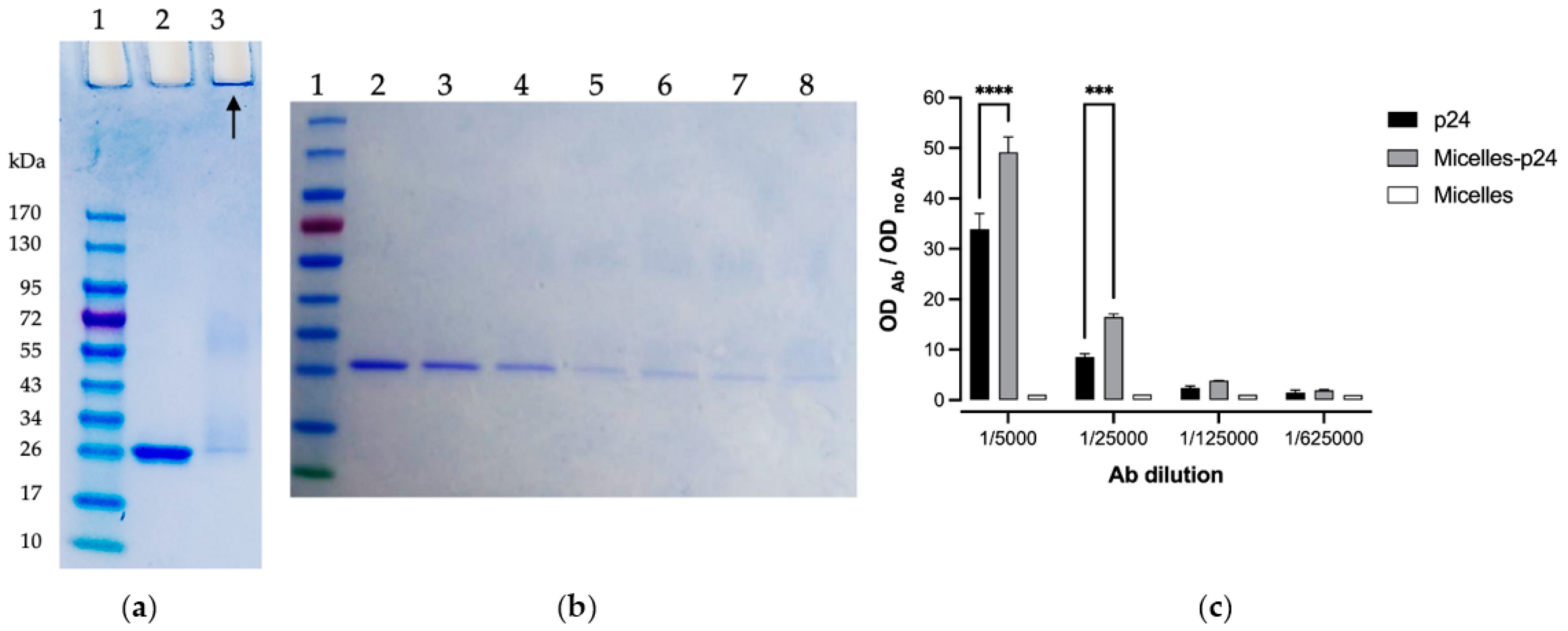 Pharmaceutics 14 00107 g004