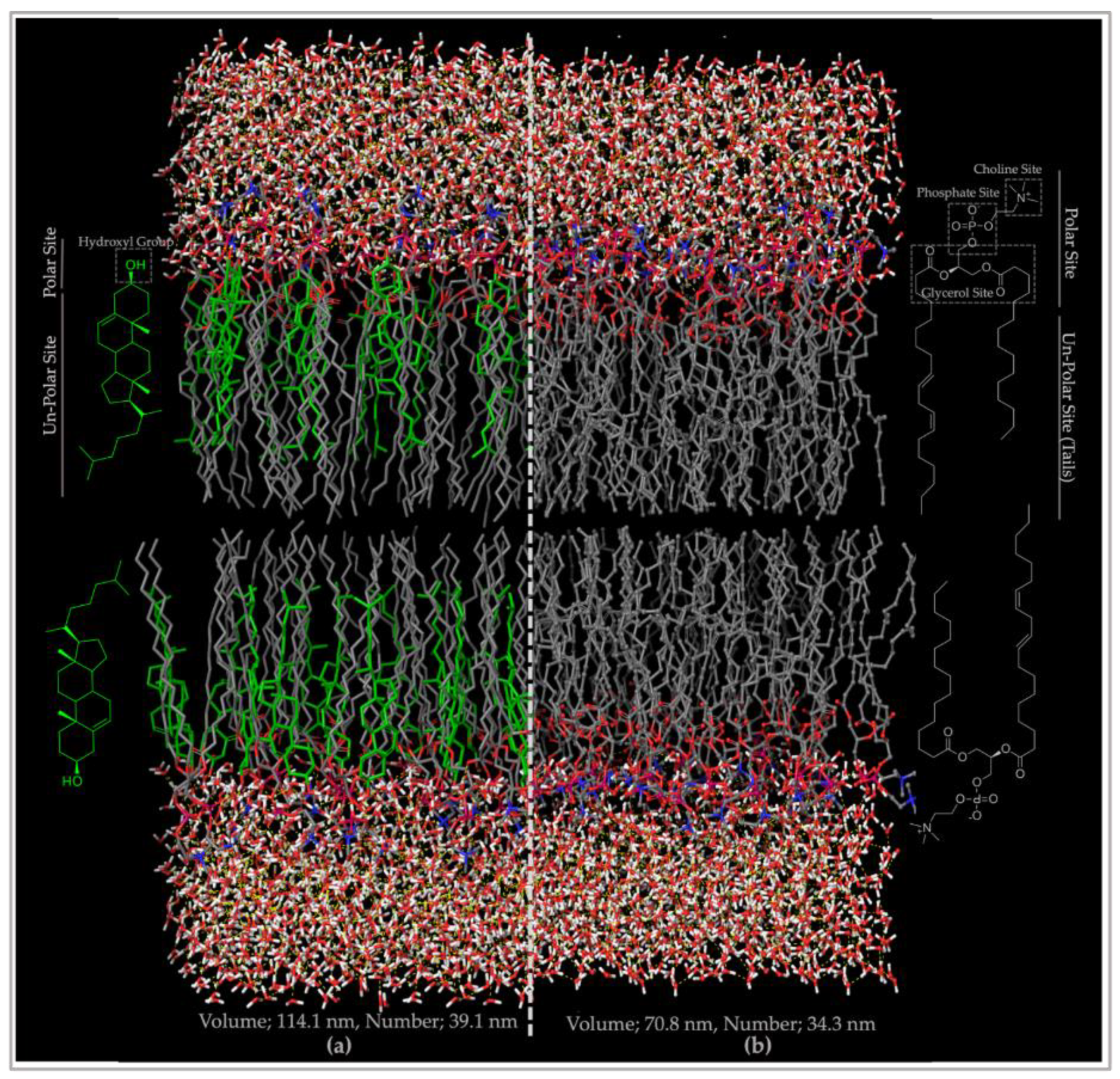 Pharmaceutics 14 00112 g005 Pharmaceutics 14 00112 g005
