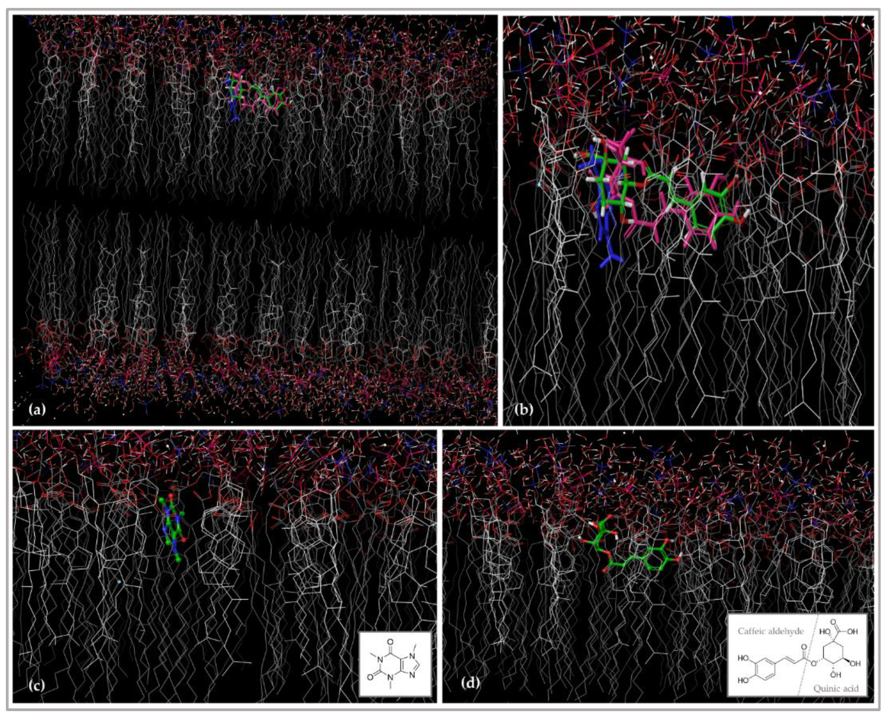 Pharmaceutics 14 00112 g007 Pharmaceutics 14 00112 g007