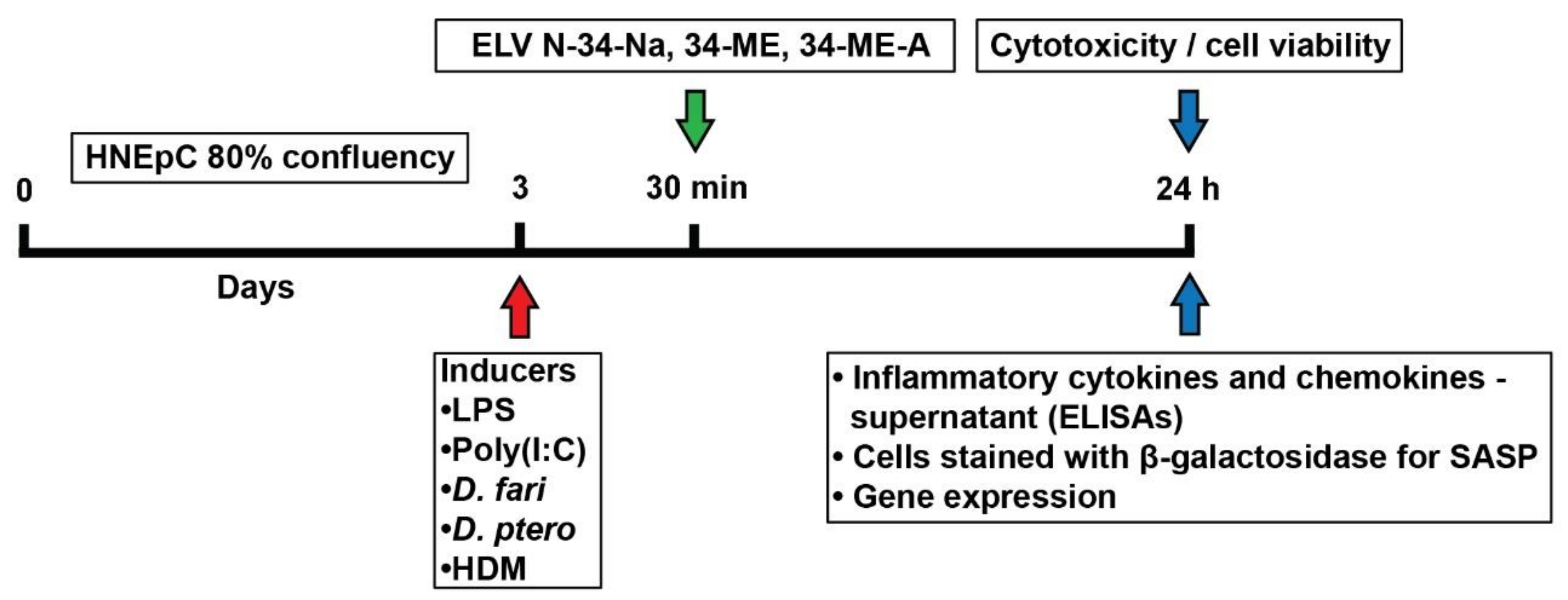 Pharmaceutics 14 00113 g001
