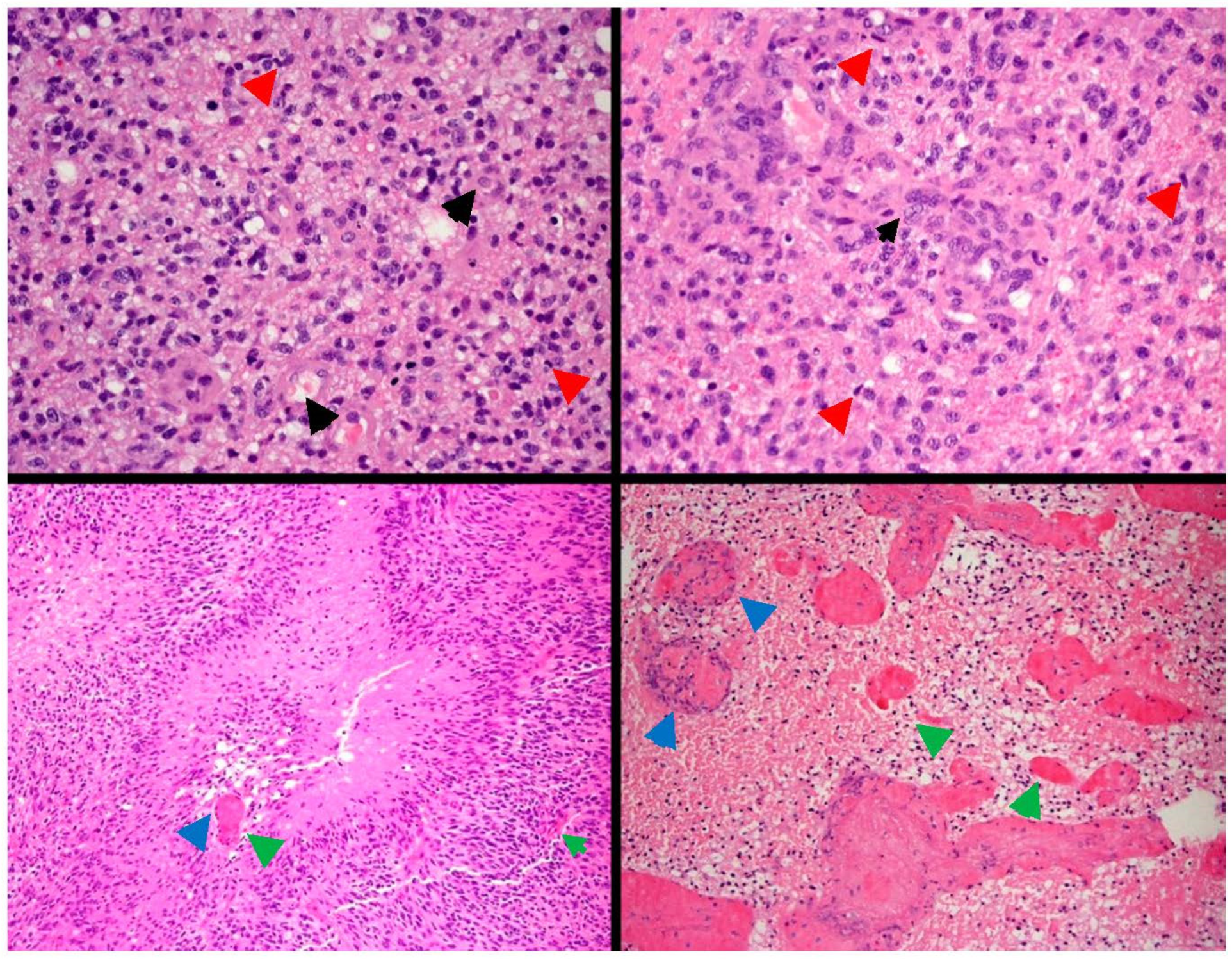Pharmaceutics 14 00116 g001