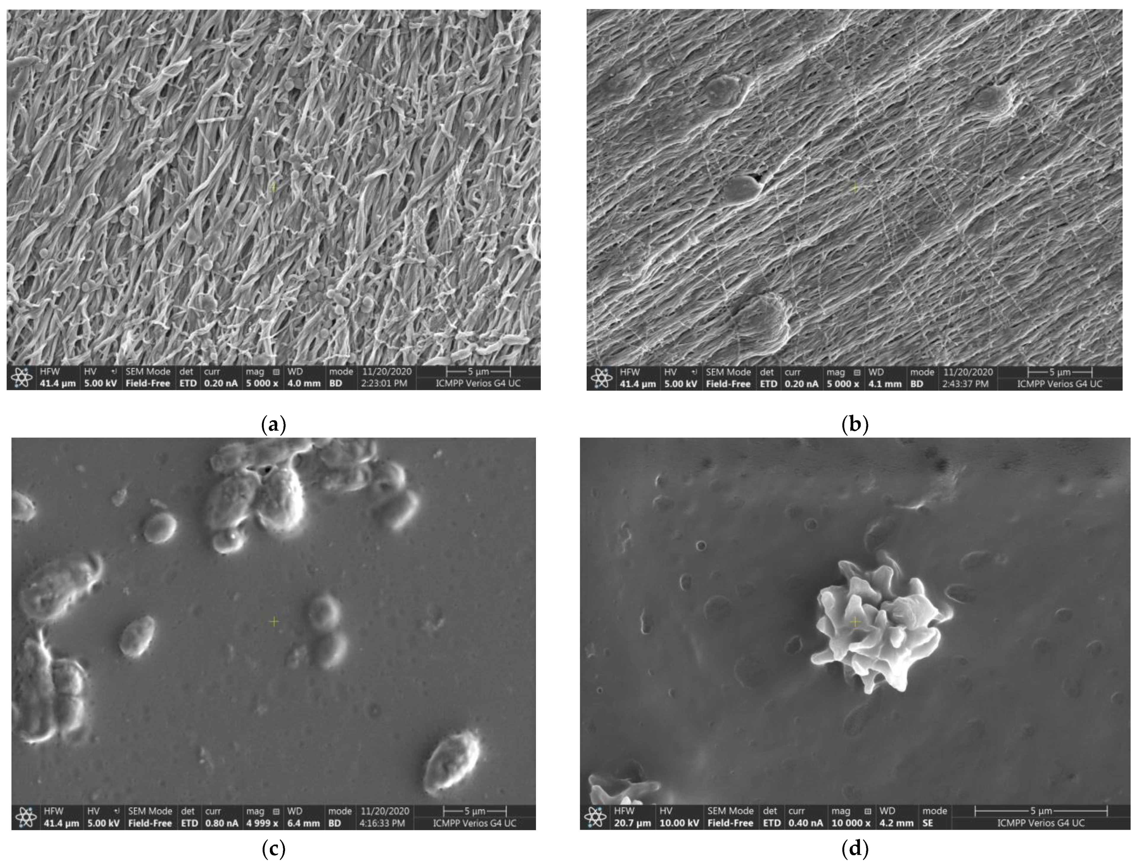 Pharmaceutics 14 00117 g010