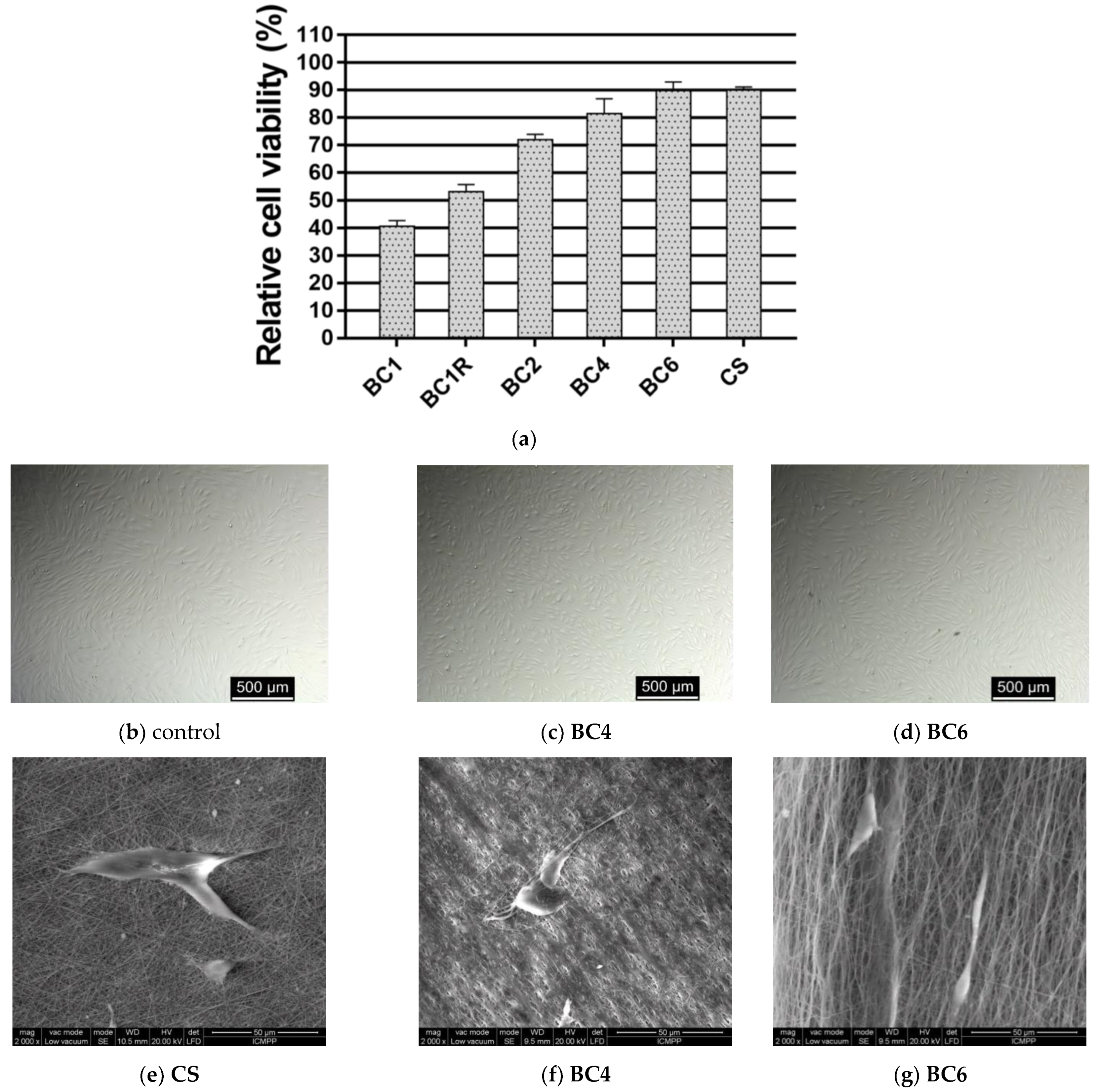 Pharmaceutics 14 00117 g011