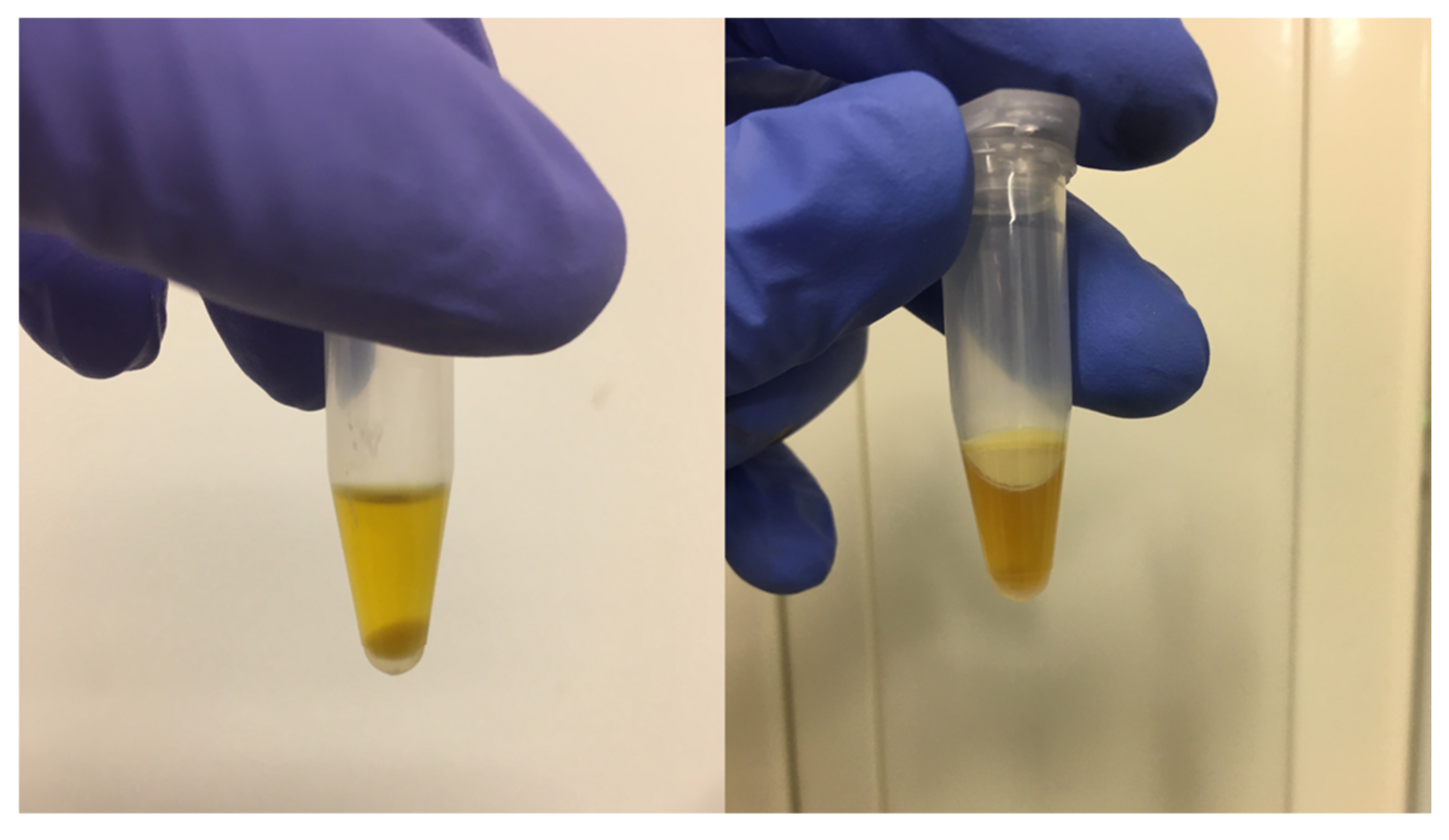 Pharmaceutics 14 00119 g002 Pharmaceutics 14 00119 g002
