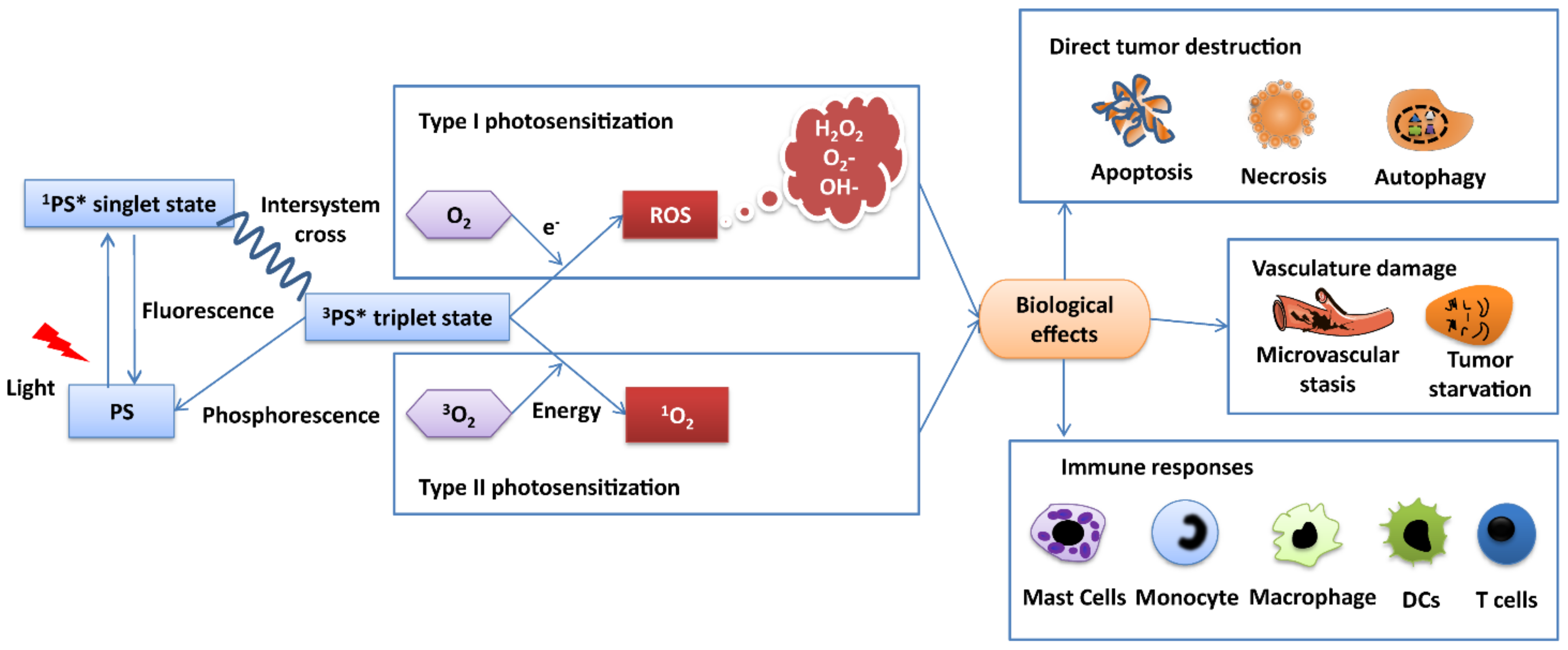 Pharmaceutics 14 00120 g001 Pharmaceutics 14 00120 g001