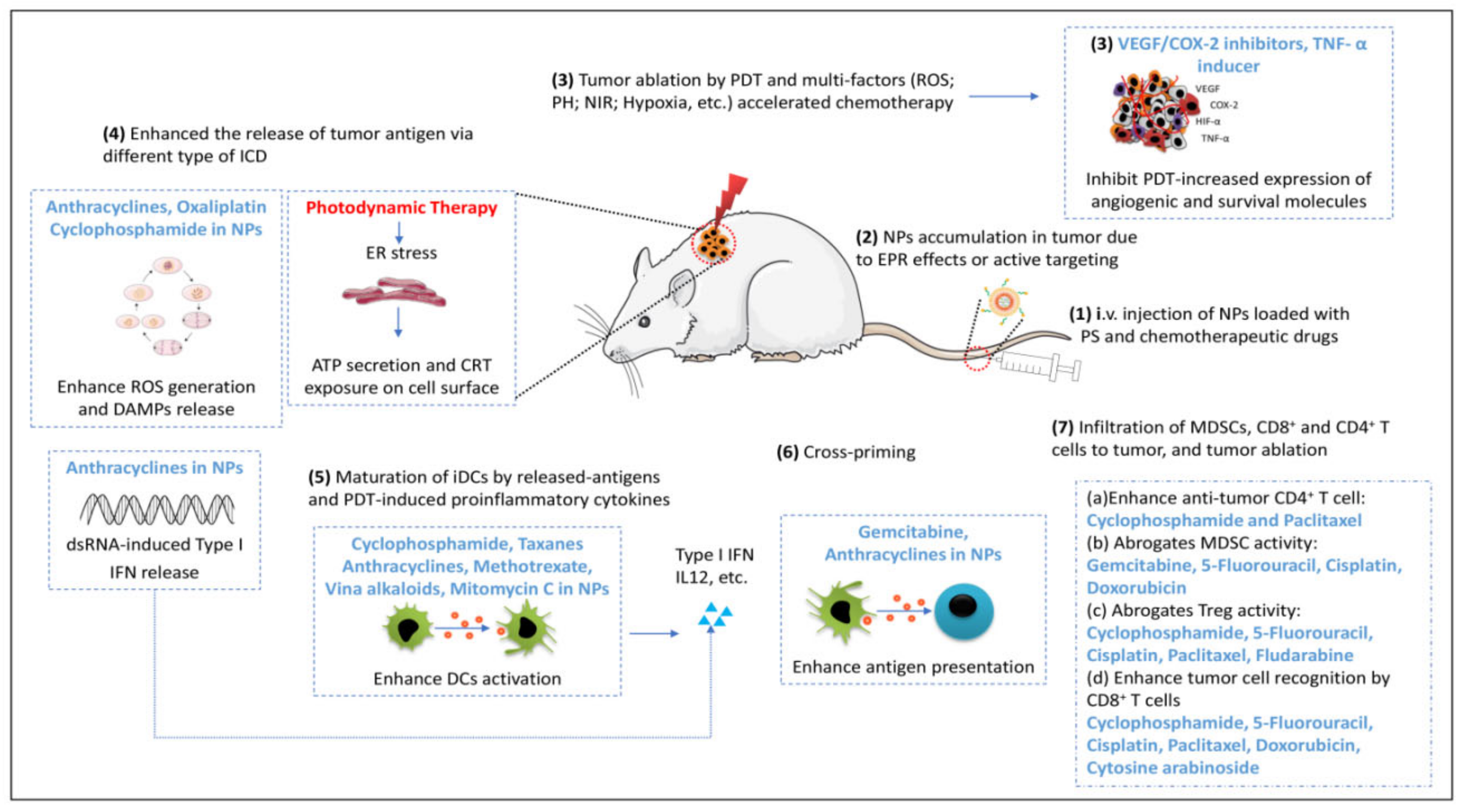 Pharmaceutics 14 00120 g005 Pharmaceutics 14 00120 g005