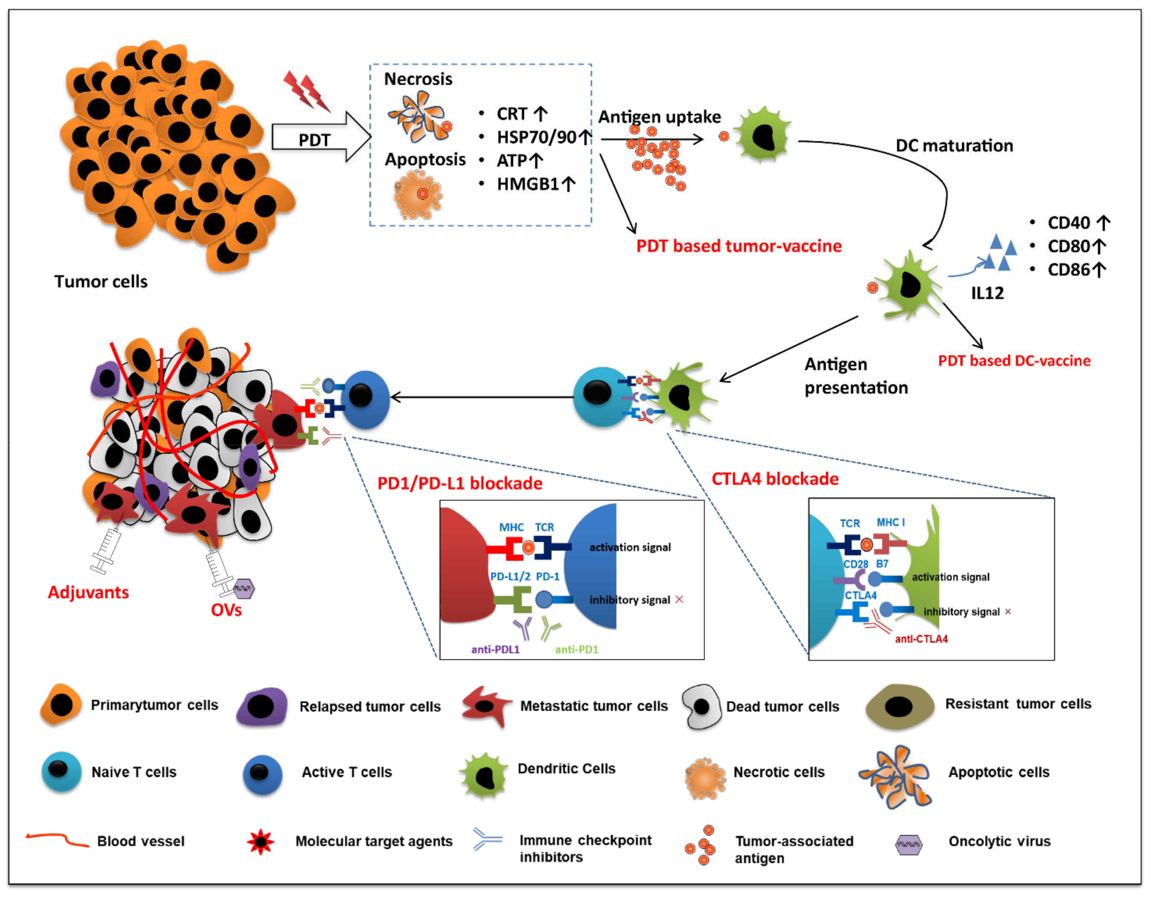 Pharmaceutics 14 00120 g006 Pharmaceutics 14 00120 g006