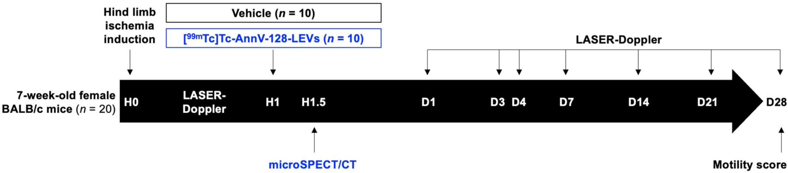 Pharmaceutics 14 00121 g001