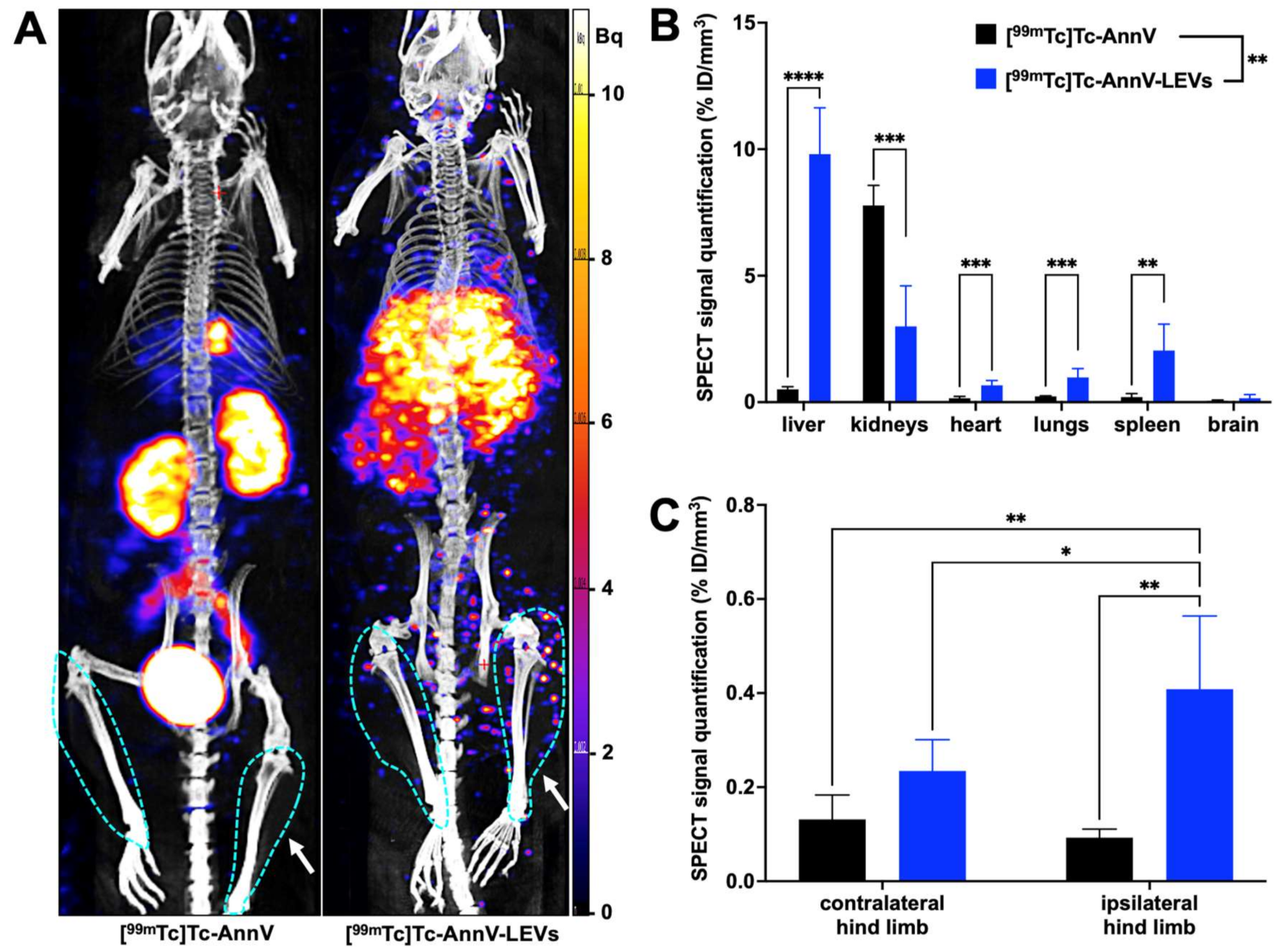 Pharmaceutics 14 00121 g004